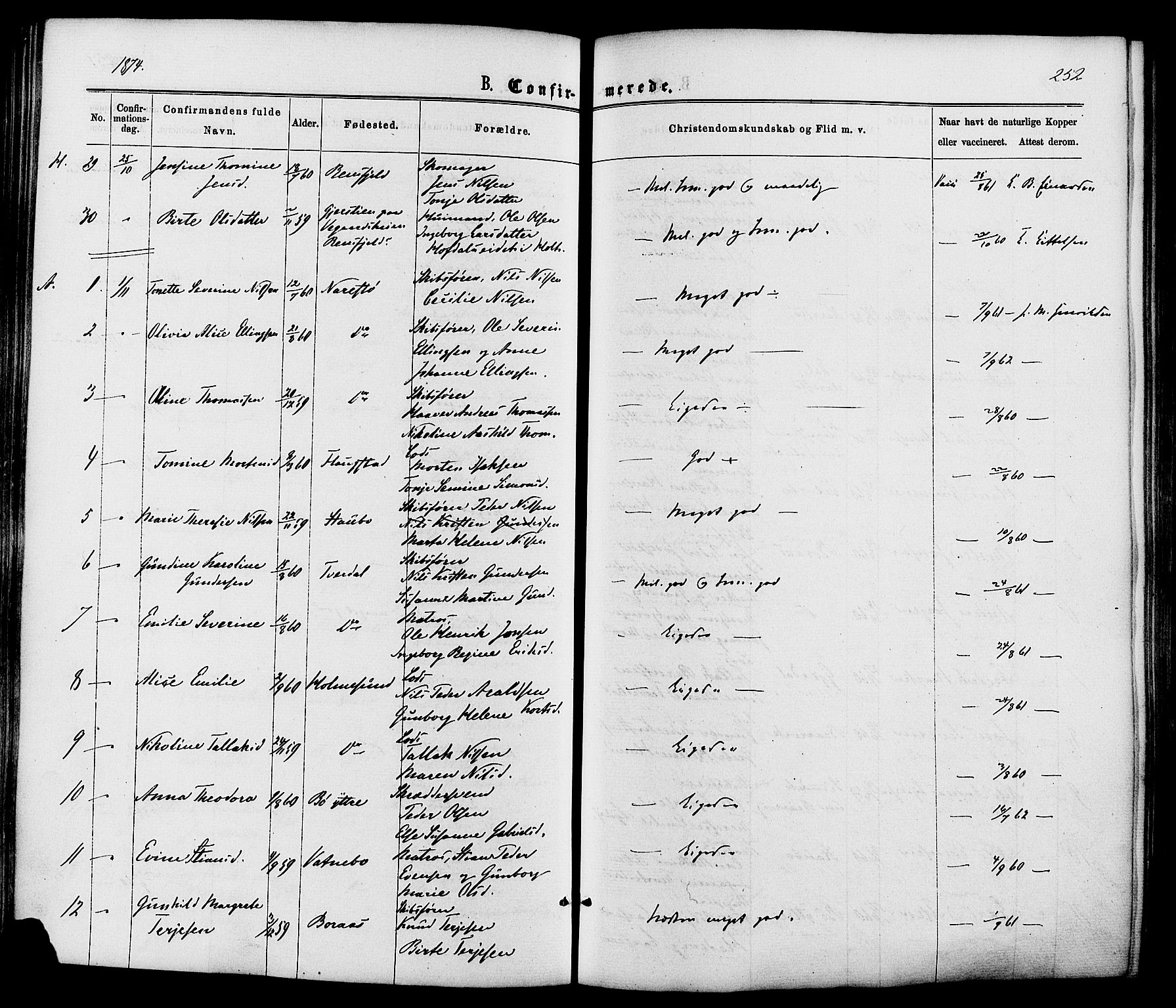 Dypvåg sokneprestkontor, AV/SAK-1111-0007/F/Fa/Faa/L0007: Ministerialbok nr. A 7/ 1, 1872-1884, s. 252