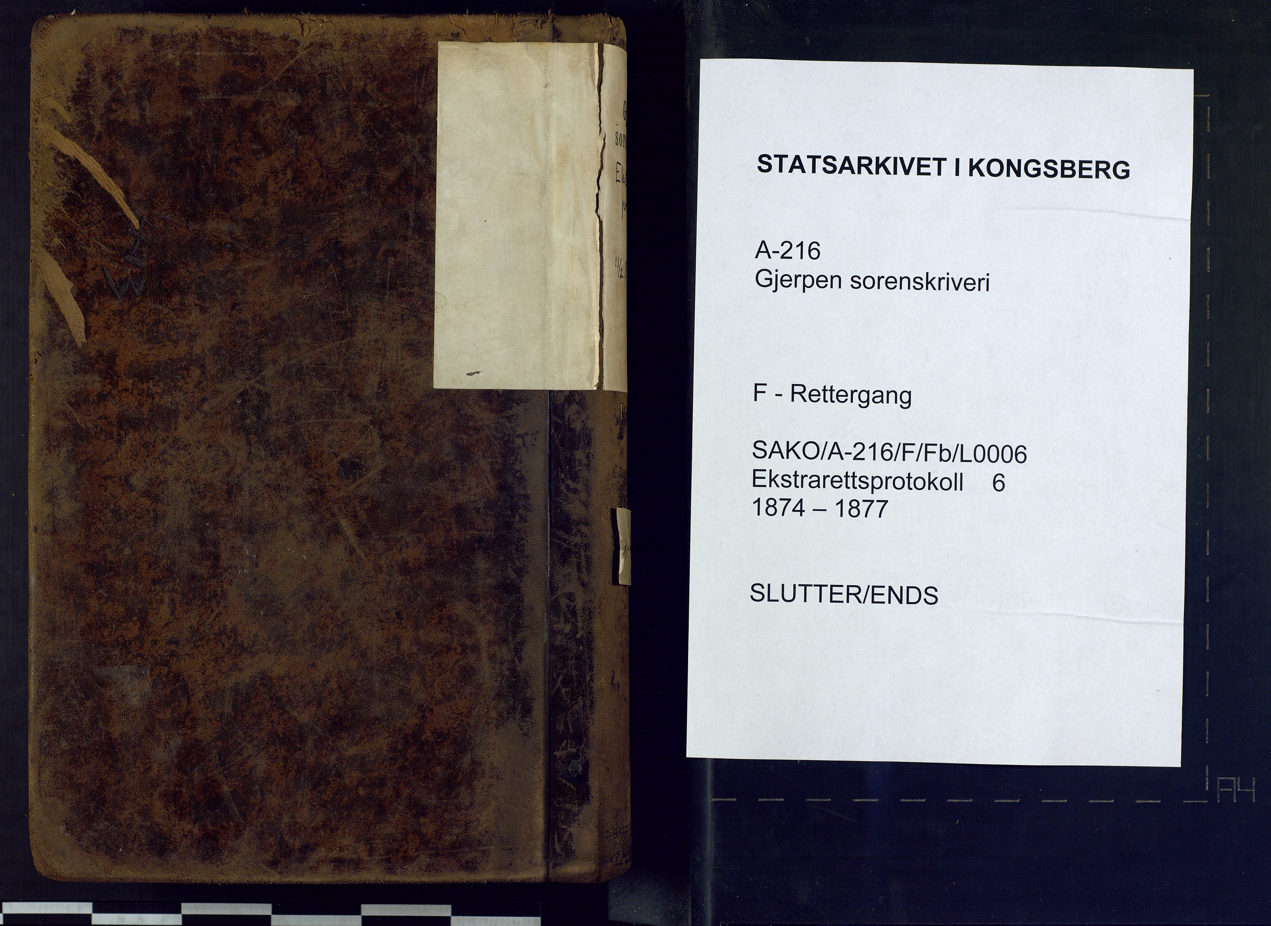 Gjerpen sorenskriveri, AV/SAKO-A-216/F/Fb/L0006: Ekstrarettsprotokoll, 1874-1877