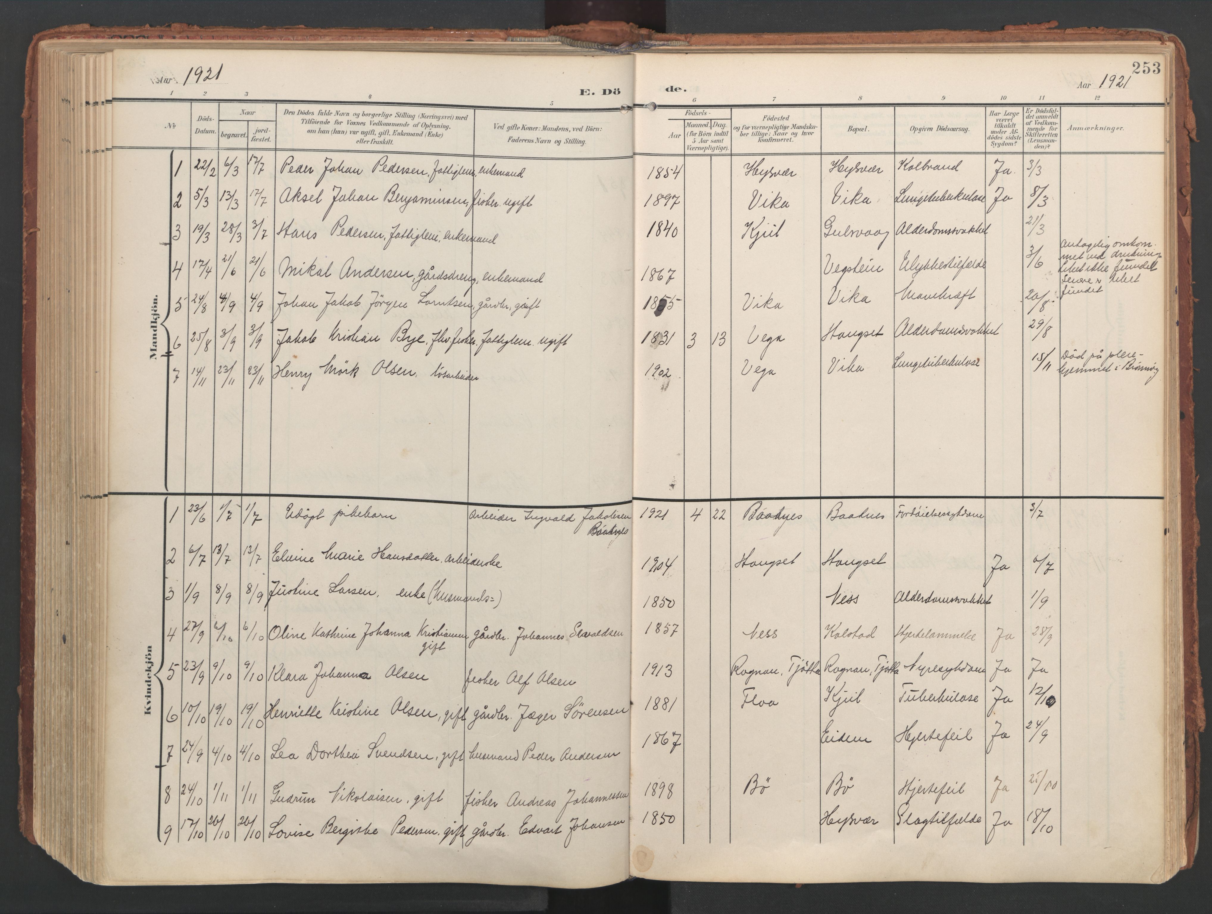 Ministerialprotokoller, klokkerbøker og fødselsregistre - Nordland, AV/SAT-A-1459/816/L0250: Ministerialbok nr. 816A16, 1903-1923, s. 253