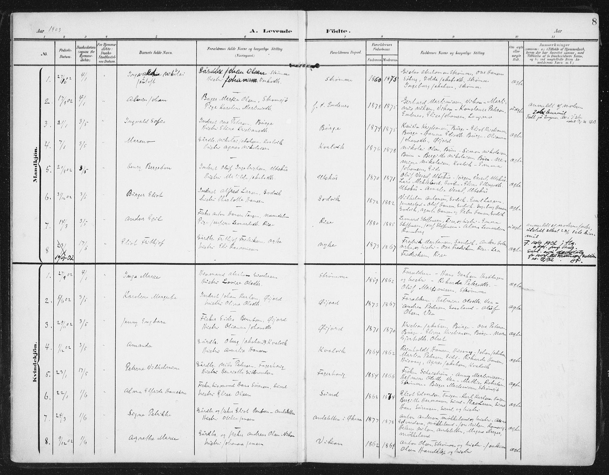 Ministerialprotokoller, klokkerbøker og fødselsregistre - Nordland, SAT/A-1459/892/L1321: Ministerialbok nr. 892A02, 1902-1918, s. 8