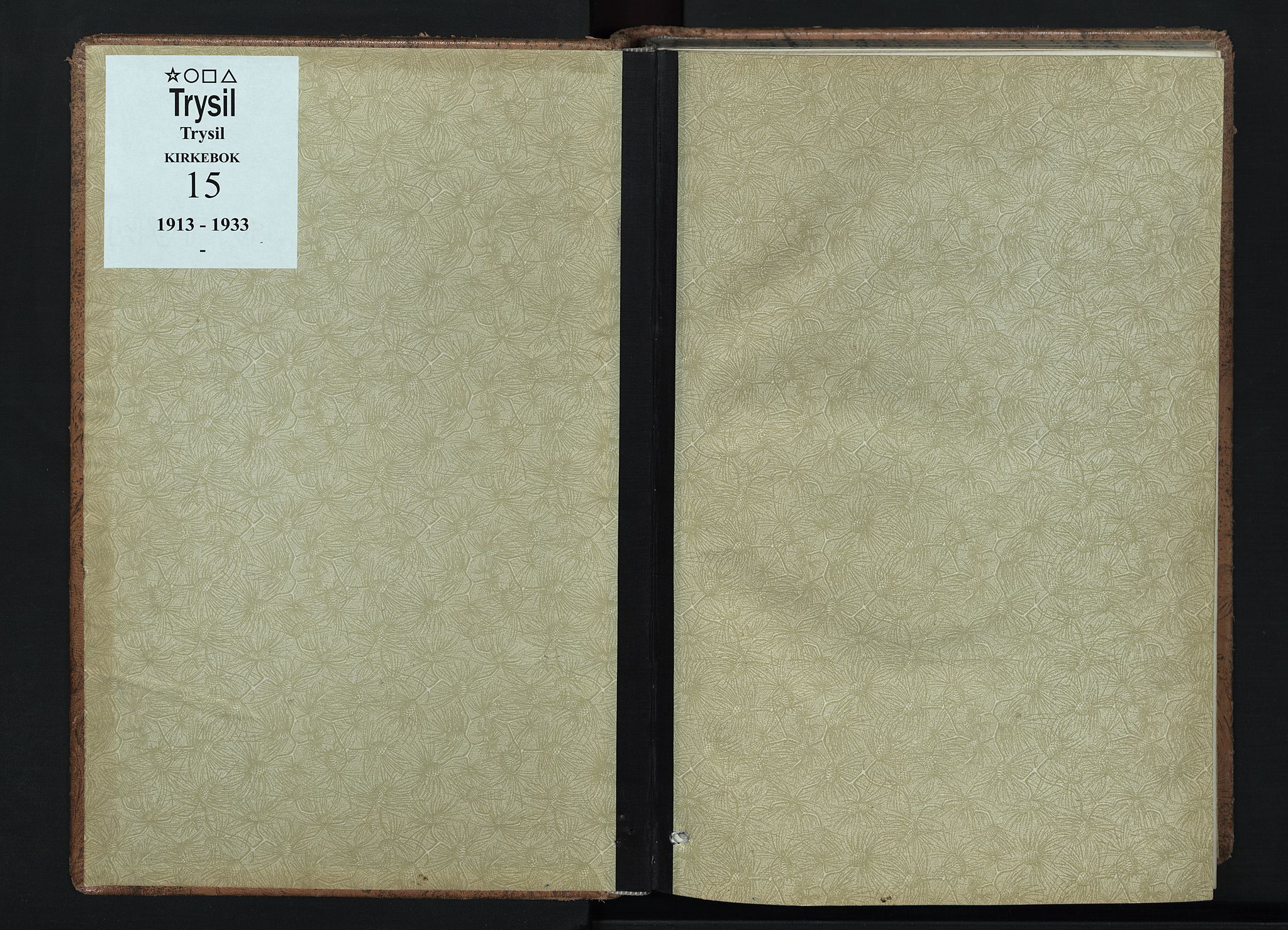 Trysil prestekontor, AV/SAH-PREST-046/H/Ha/Haa/L0015: Ministerialbok nr. 15, 1913-1934