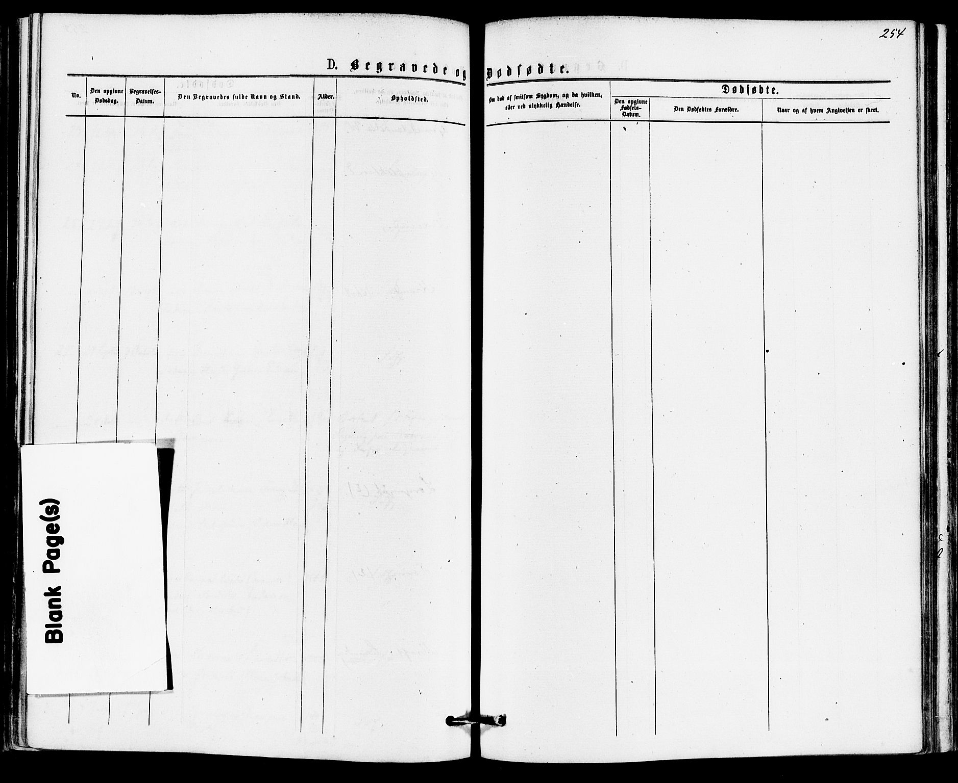 Sandefjord kirkebøker, AV/SAKO-A-315/F/Fa/L0001: Ministerialbok nr. 1, 1873-1879, s. 254