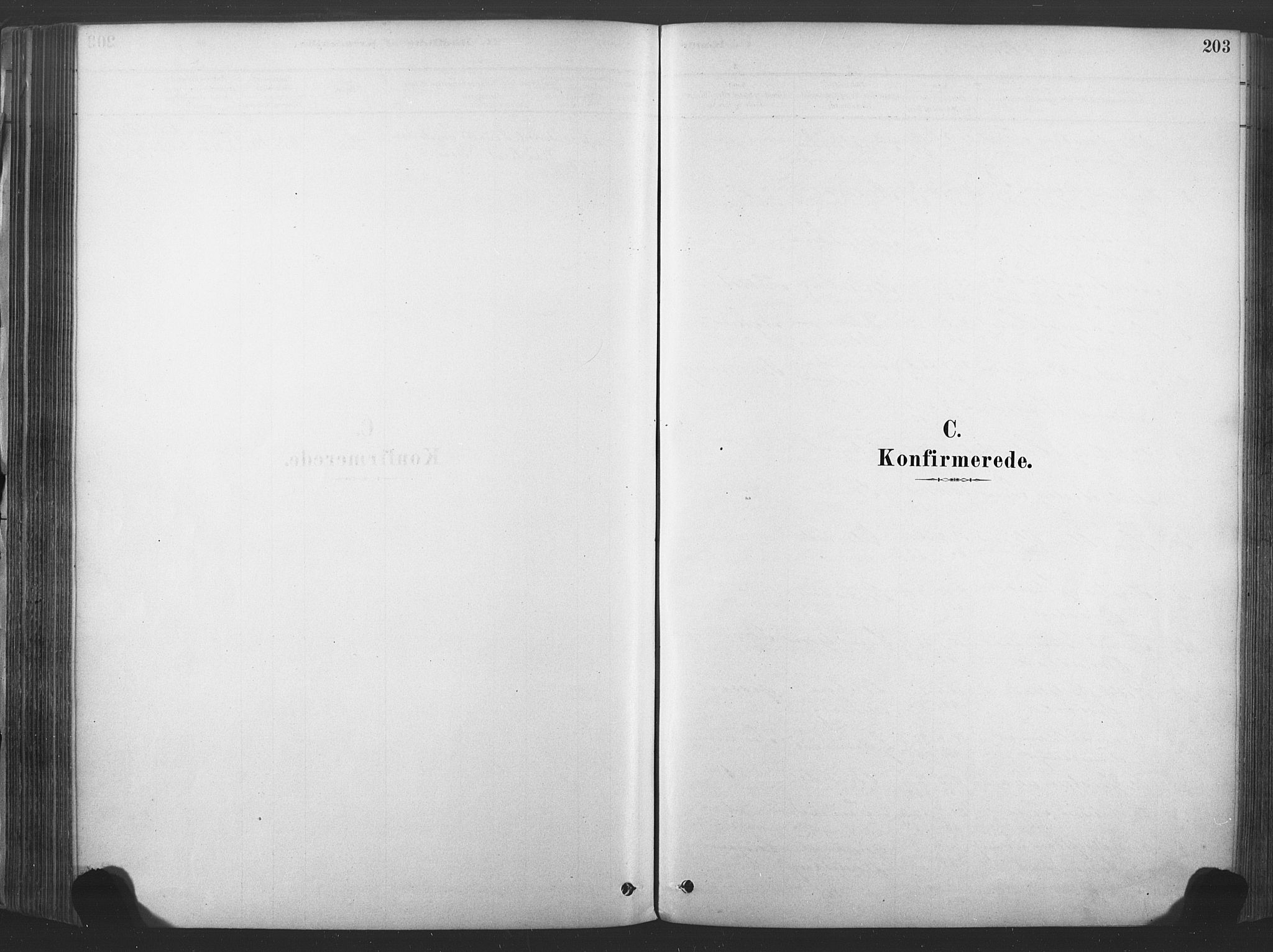 Sandsvær kirkebøker, SAKO/A-244/F/Fd/L0001: Ministerialbok nr. IV 1, 1878-1906, s. 203
