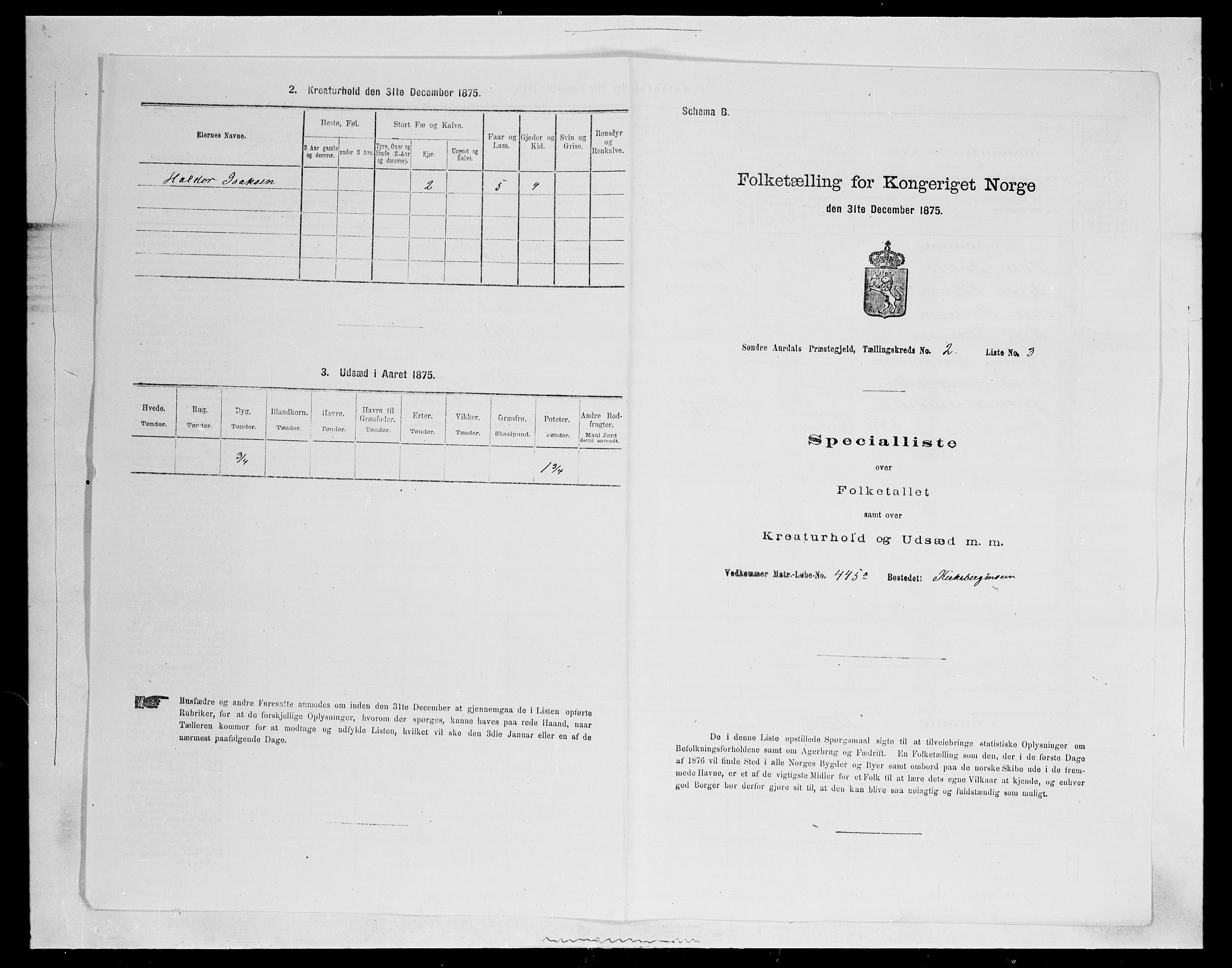 SAH, Folketelling 1875 for 0540P Sør-Aurdal prestegjeld, 1875, s. 417