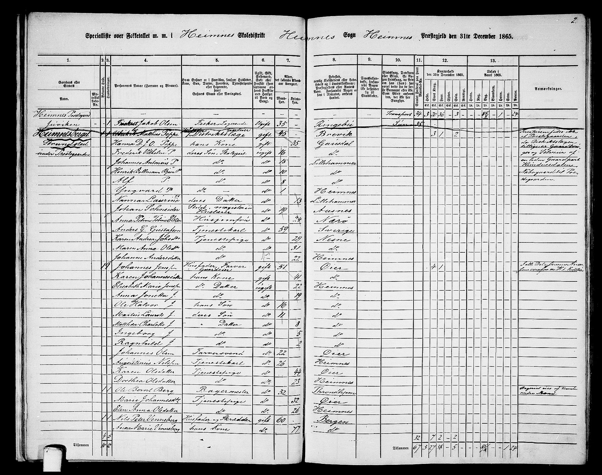RA, Folketelling 1865 for 1832P Hemnes prestegjeld, 1865, s. 25