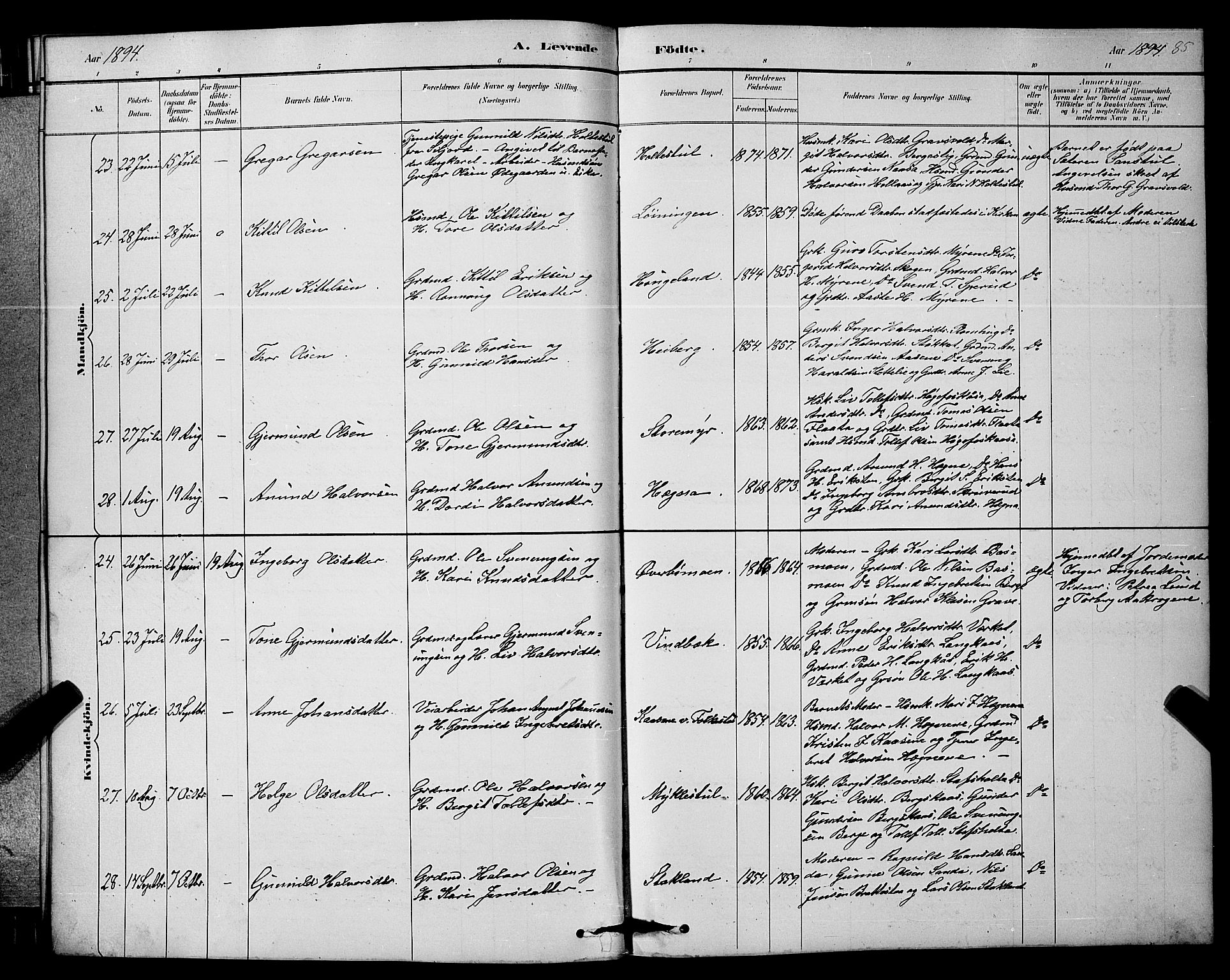 Bø kirkebøker, AV/SAKO-A-257/G/Ga/L0005: Klokkerbok nr. 5, 1883-1897, s. 85