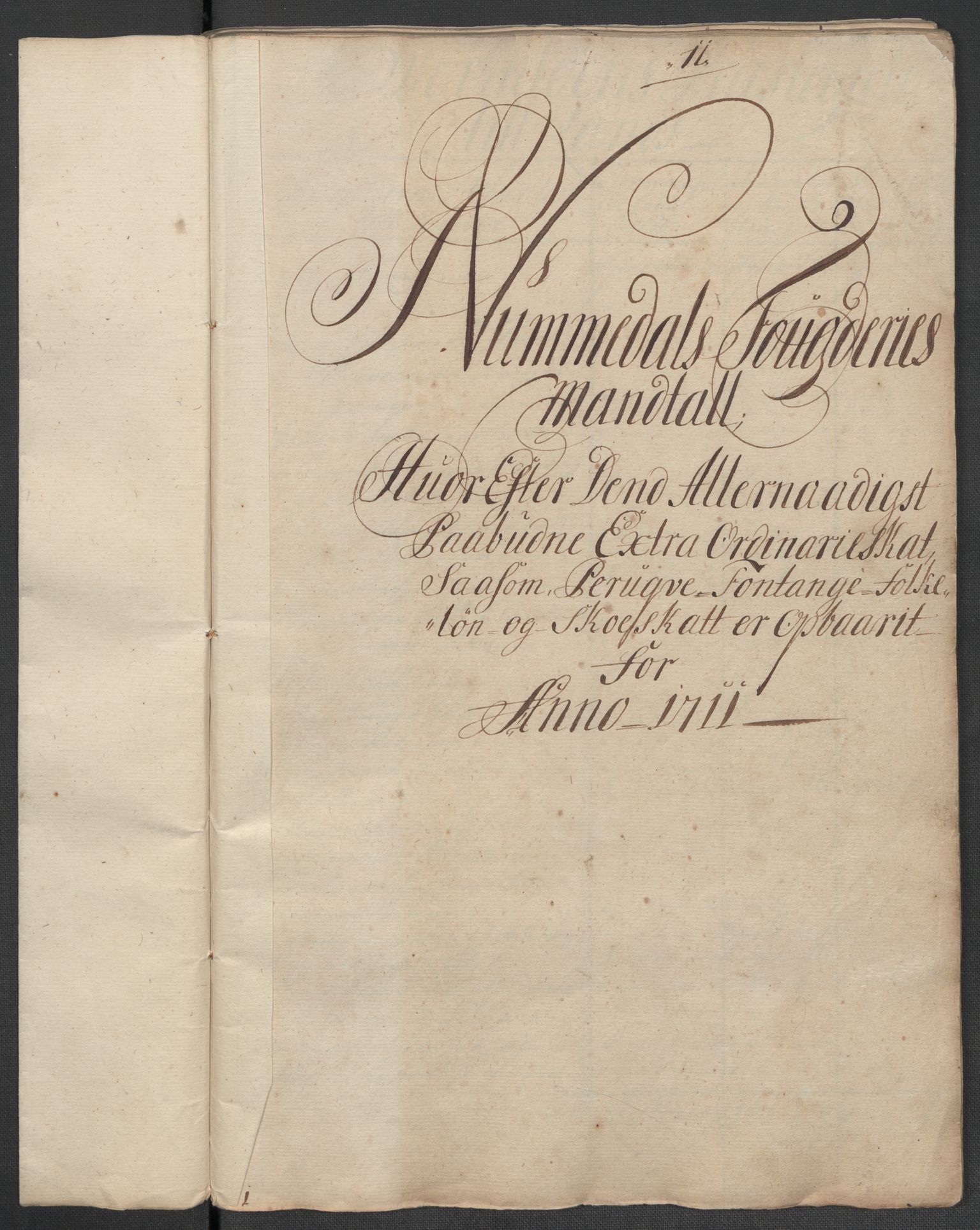 Rentekammeret inntil 1814, Reviderte regnskaper, Fogderegnskap, RA/EA-4092/R64/L4432: Fogderegnskap Namdal, 1711, s. 298