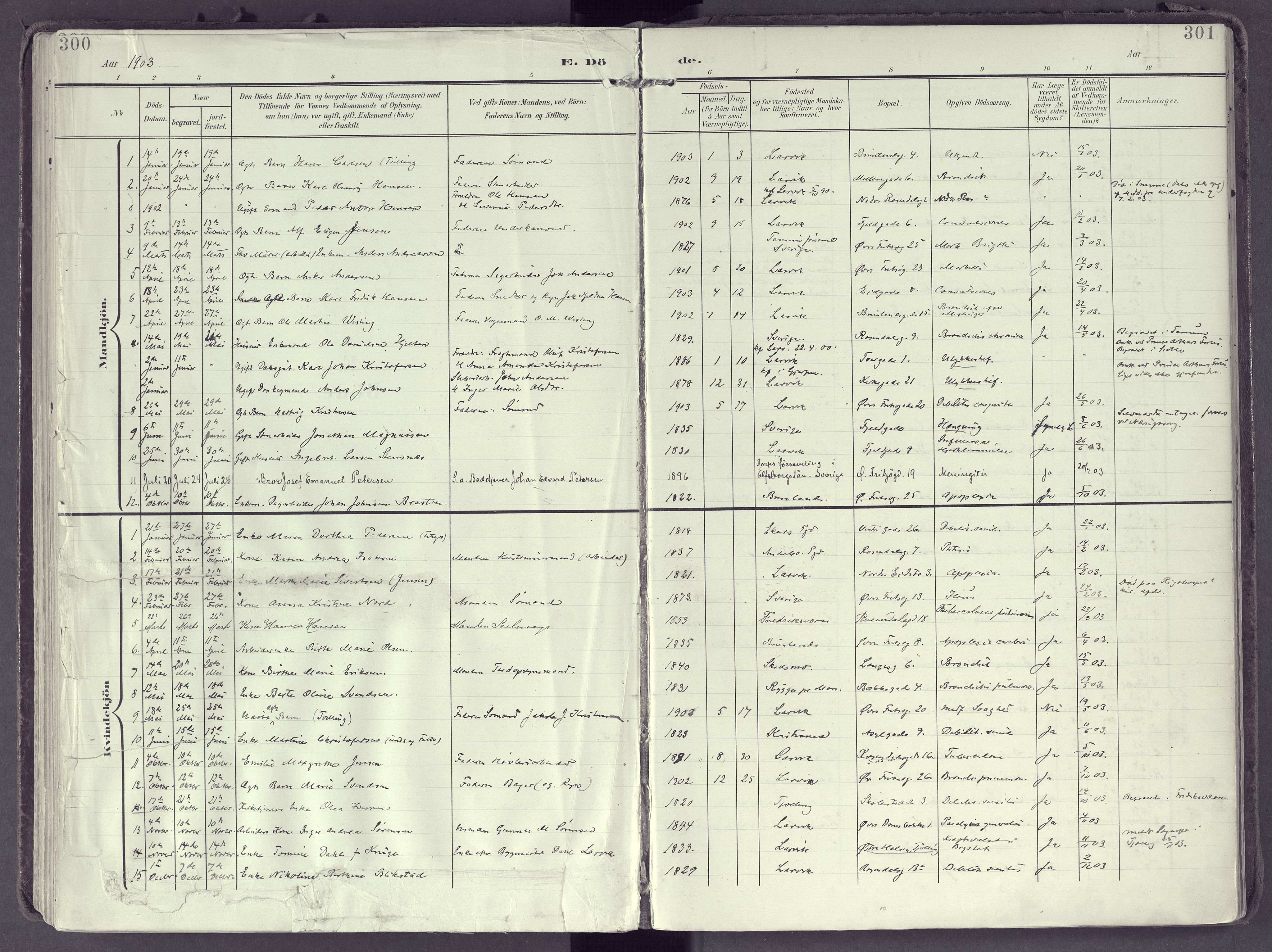 Larvik kirkebøker, SAKO/A-352/F/Fb/L0005: Ministerialbok nr. II 5, 1903-1925, s. 300-301
