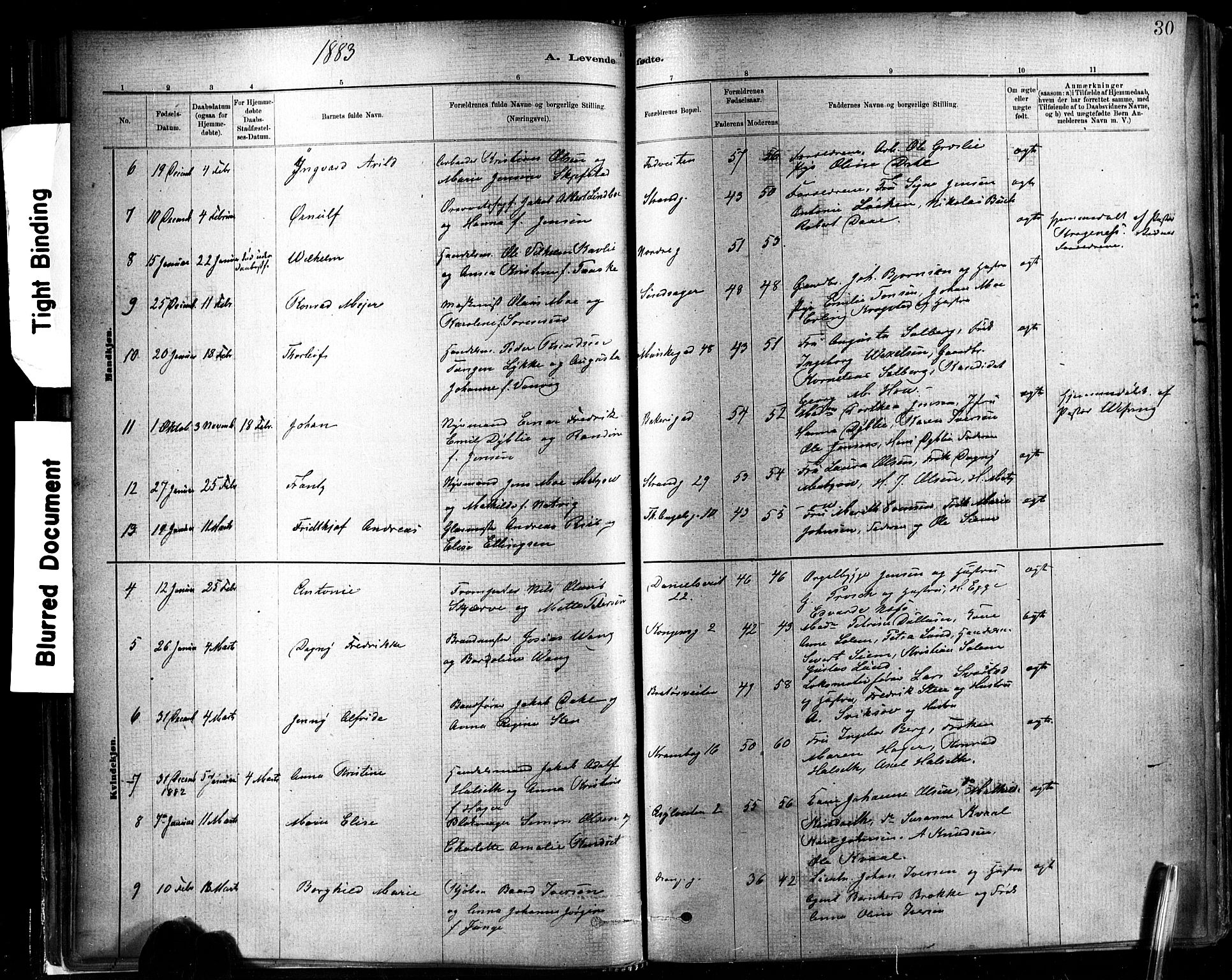 Ministerialprotokoller, klokkerbøker og fødselsregistre - Sør-Trøndelag, AV/SAT-A-1456/602/L0119: Ministerialbok nr. 602A17, 1880-1901, s. 30