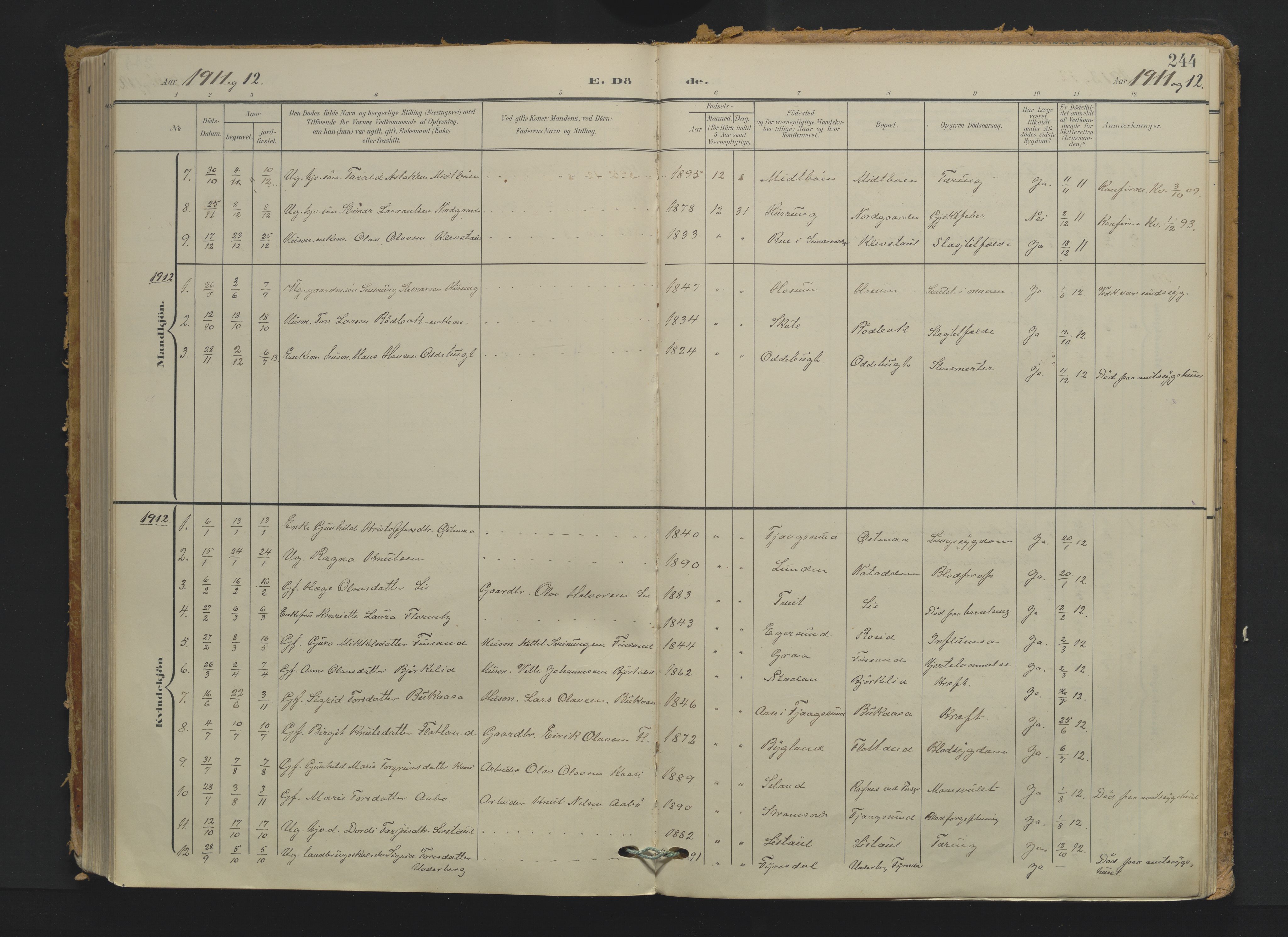 Kviteseid kirkebøker, AV/SAKO-A-276/F/Fa/L0009: Ministerialbok nr. I 9, 1903-1934, s. 244