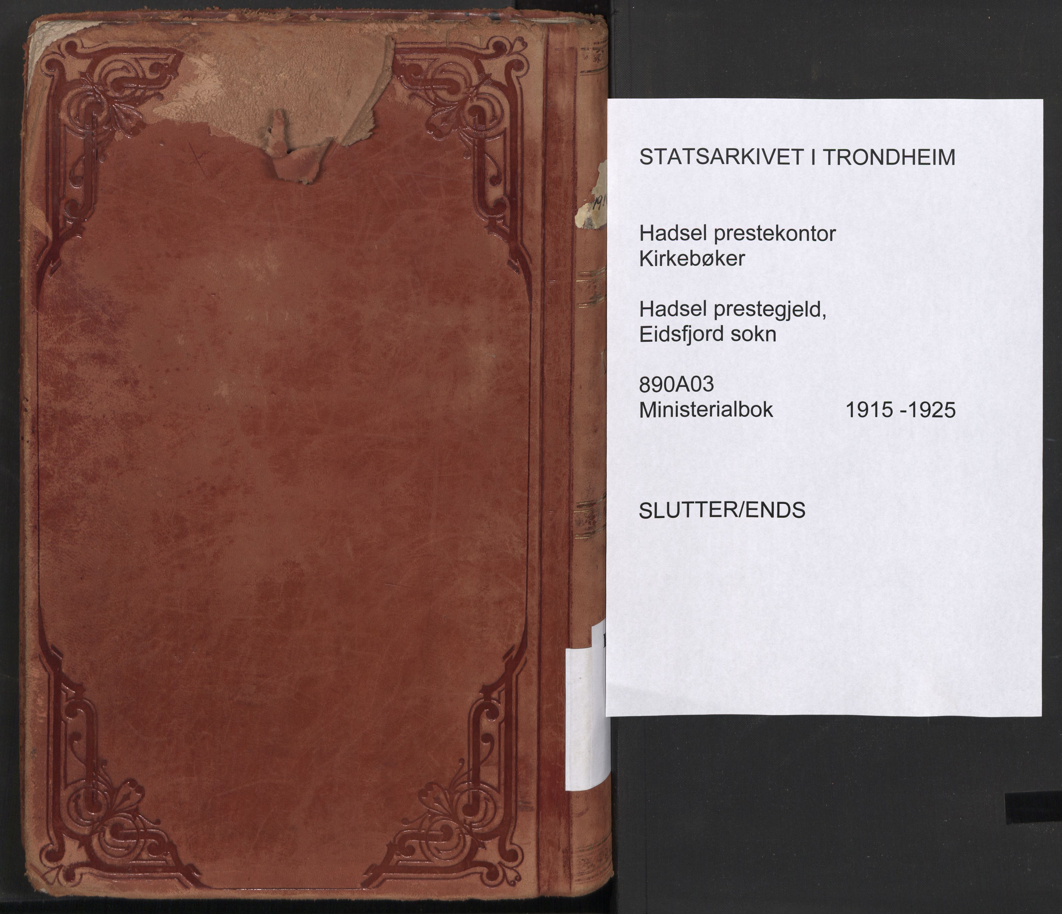 Ministerialprotokoller, klokkerbøker og fødselsregistre - Nordland, SAT/A-1459/890/L1288: Ministerialbok nr. 890A03, 1915-1925