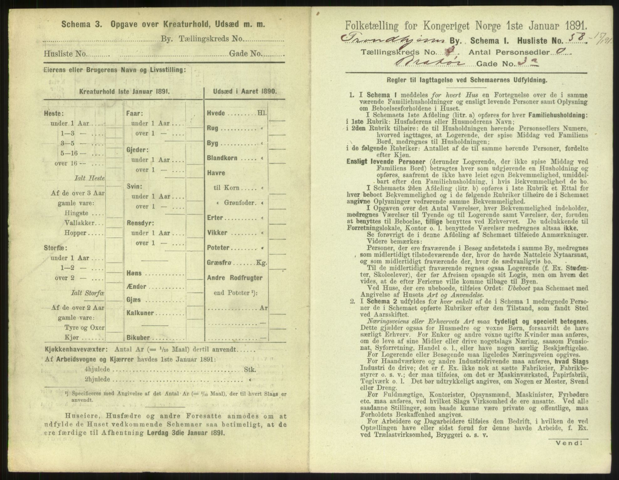 RA, Folketelling 1891 for 1601 Trondheim kjøpstad, 1891, s. 462