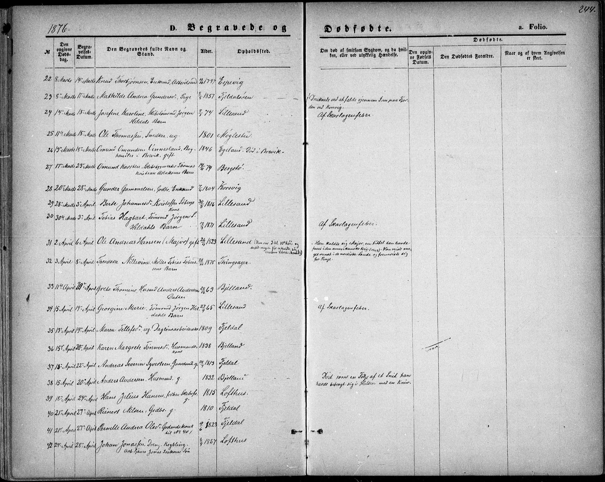 Vestre Moland sokneprestkontor, AV/SAK-1111-0046/F/Fb/Fbb/L0005: Klokkerbok nr. B 5, 1872-1883, s. 244