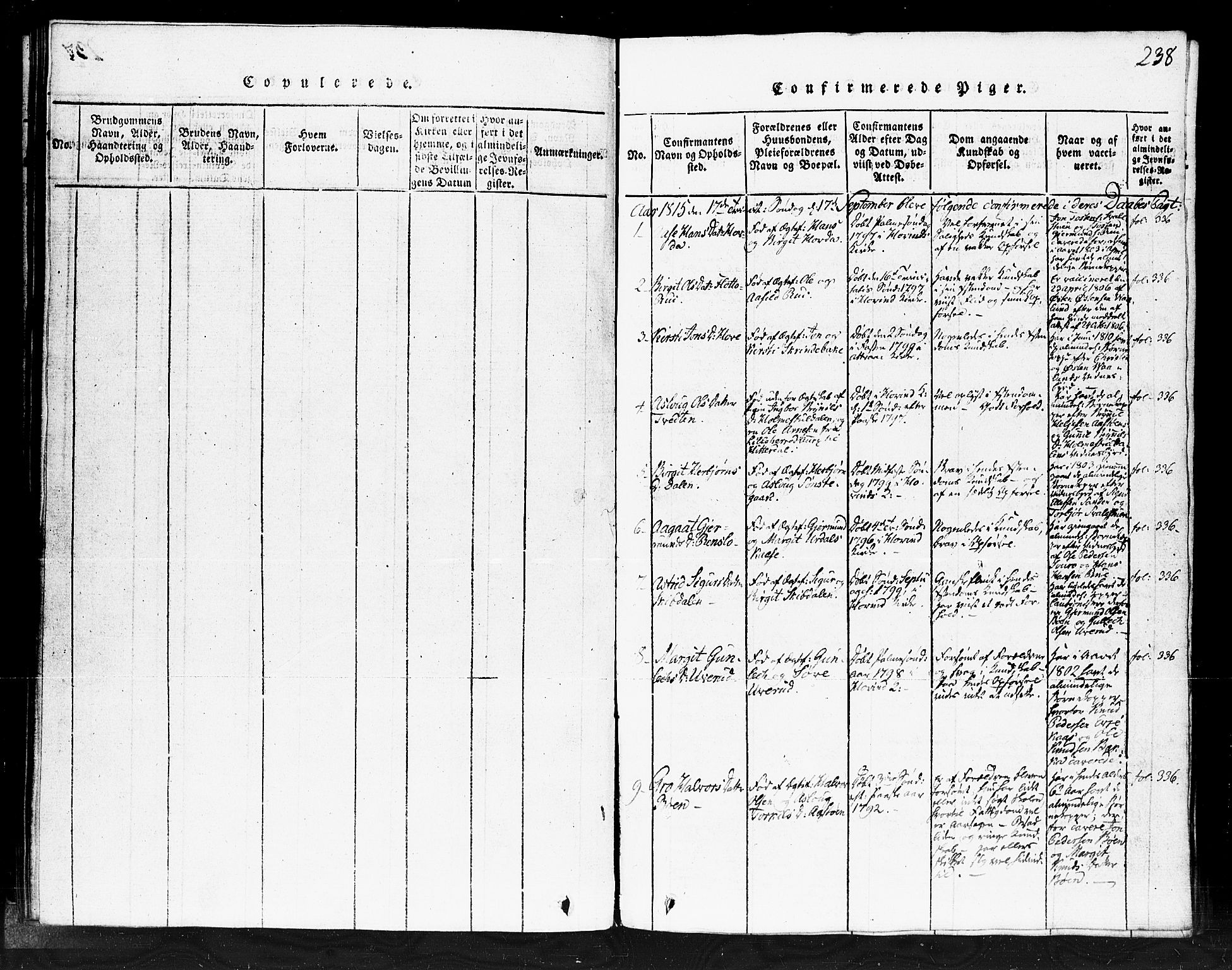 Gransherad kirkebøker, AV/SAKO-A-267/F/Fb/L0002: Ministerialbok nr. II 2, 1815-1843, s. 238