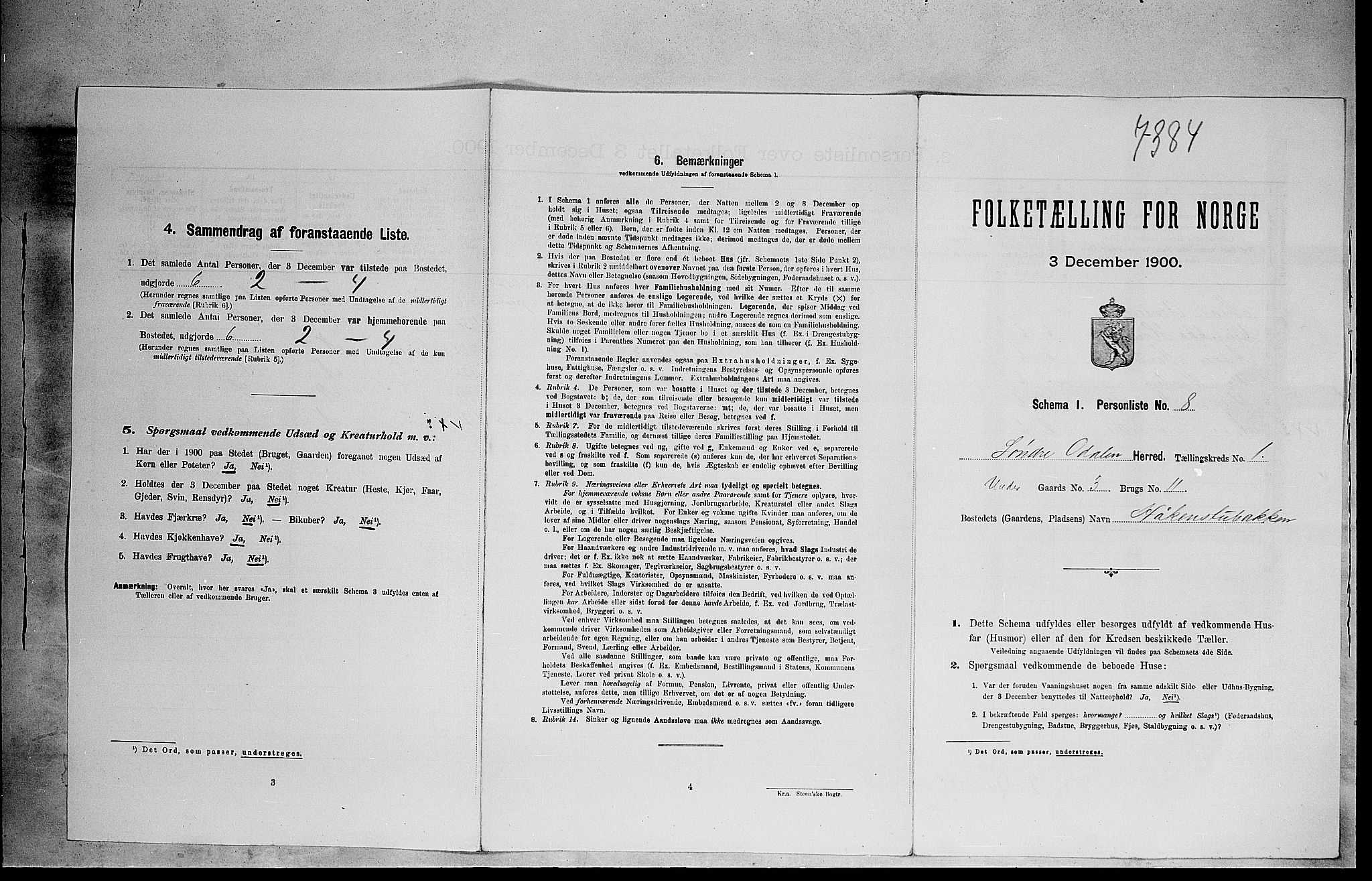 SAH, Folketelling 1900 for 0419 Sør-Odal herred, 1900, s. 176