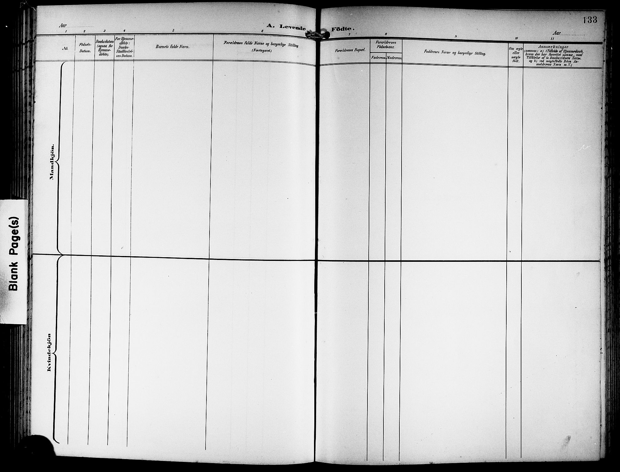 Hamre sokneprestembete, SAB/A-75501/H/Ha/Hab: Klokkerbok nr. B 4, 1898-1919, s. 133