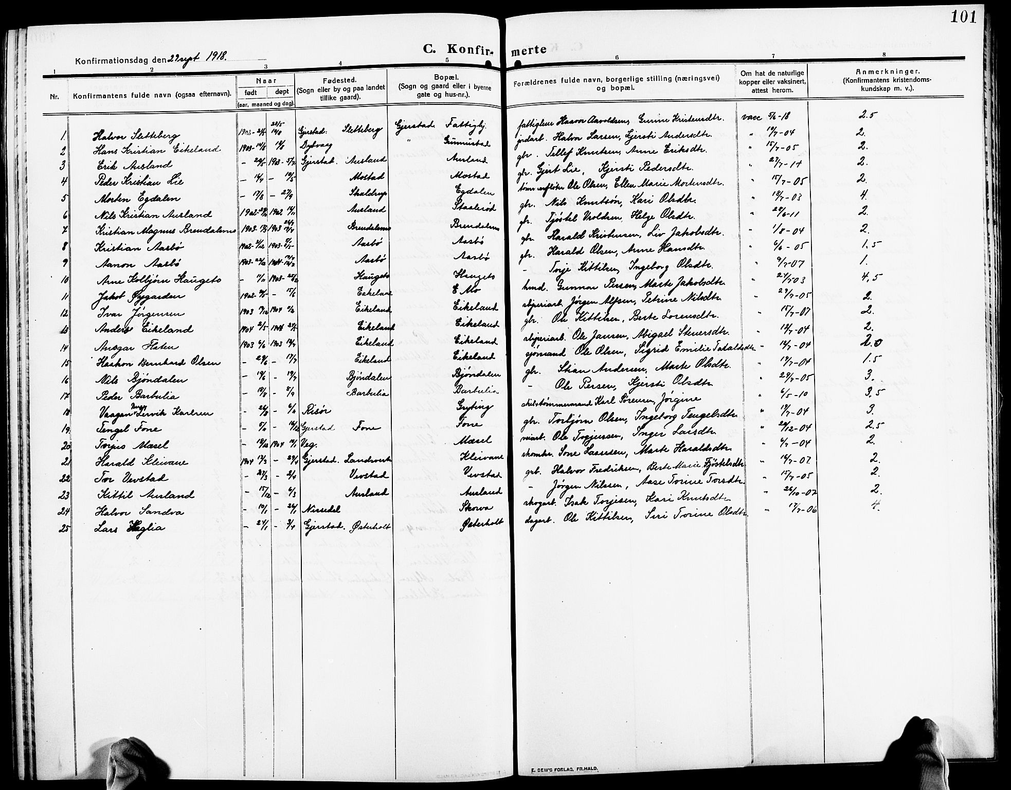 Gjerstad sokneprestkontor, AV/SAK-1111-0014/F/Fb/Fba/L0008: Klokkerbok nr. B 8, 1909-1925, s. 101
