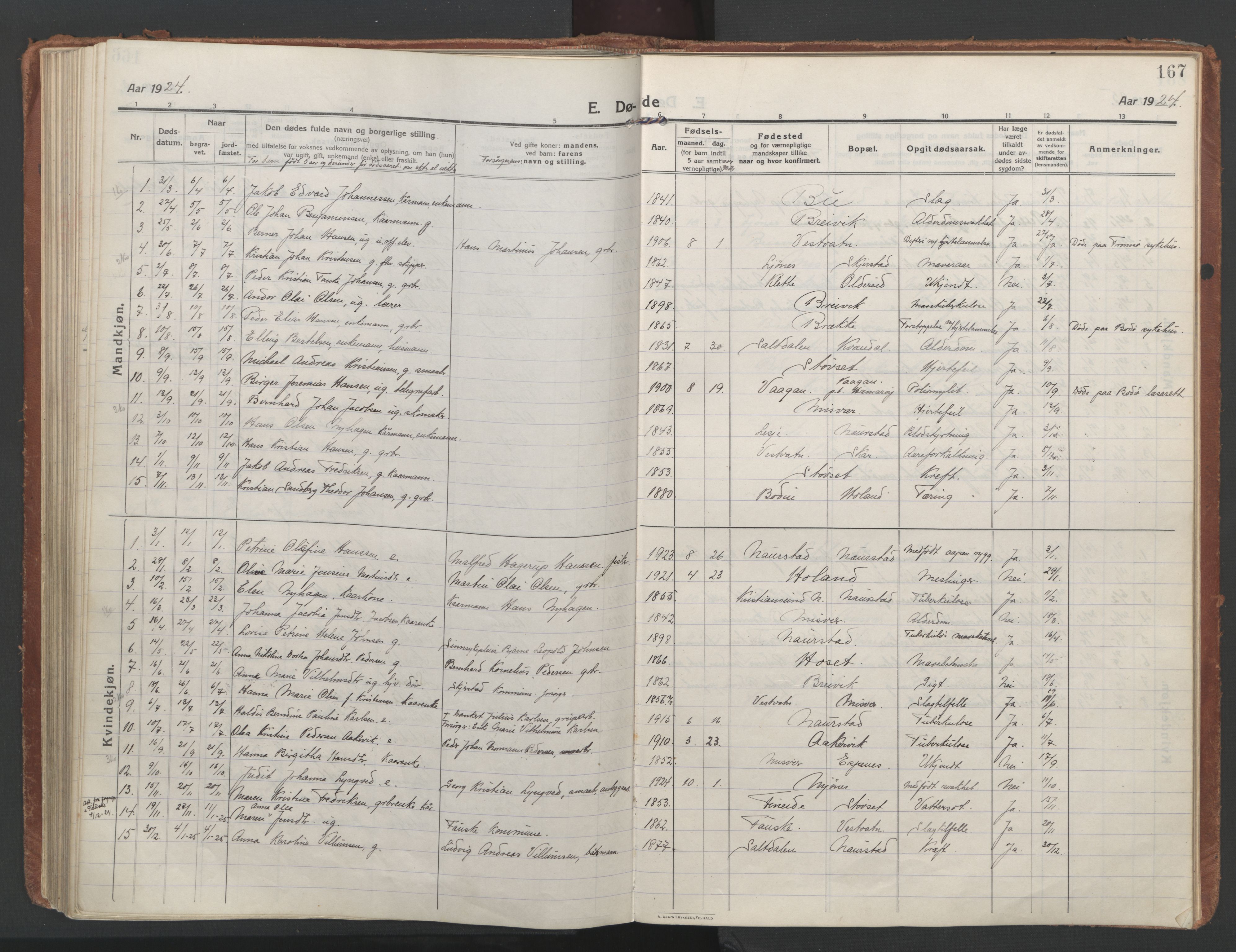 Ministerialprotokoller, klokkerbøker og fødselsregistre - Nordland, SAT/A-1459/852/L0748: Ministerialbok nr. 852A18, 1913-1932, s. 167