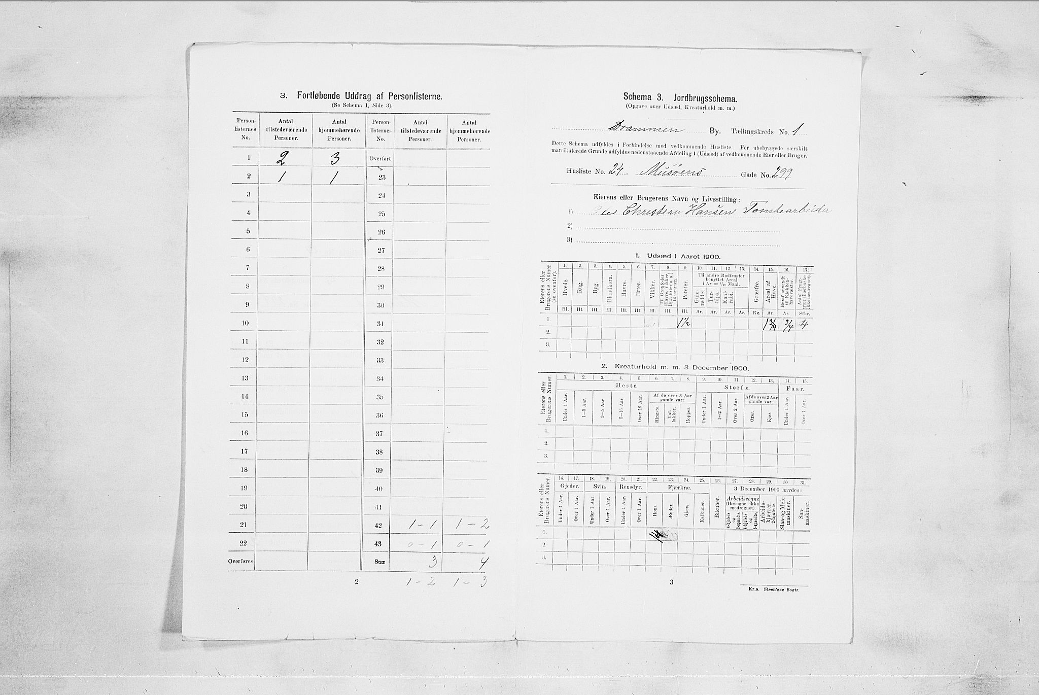 RA, Folketelling 1900 for 0602 Drammen kjøpstad, 1900, s. 497