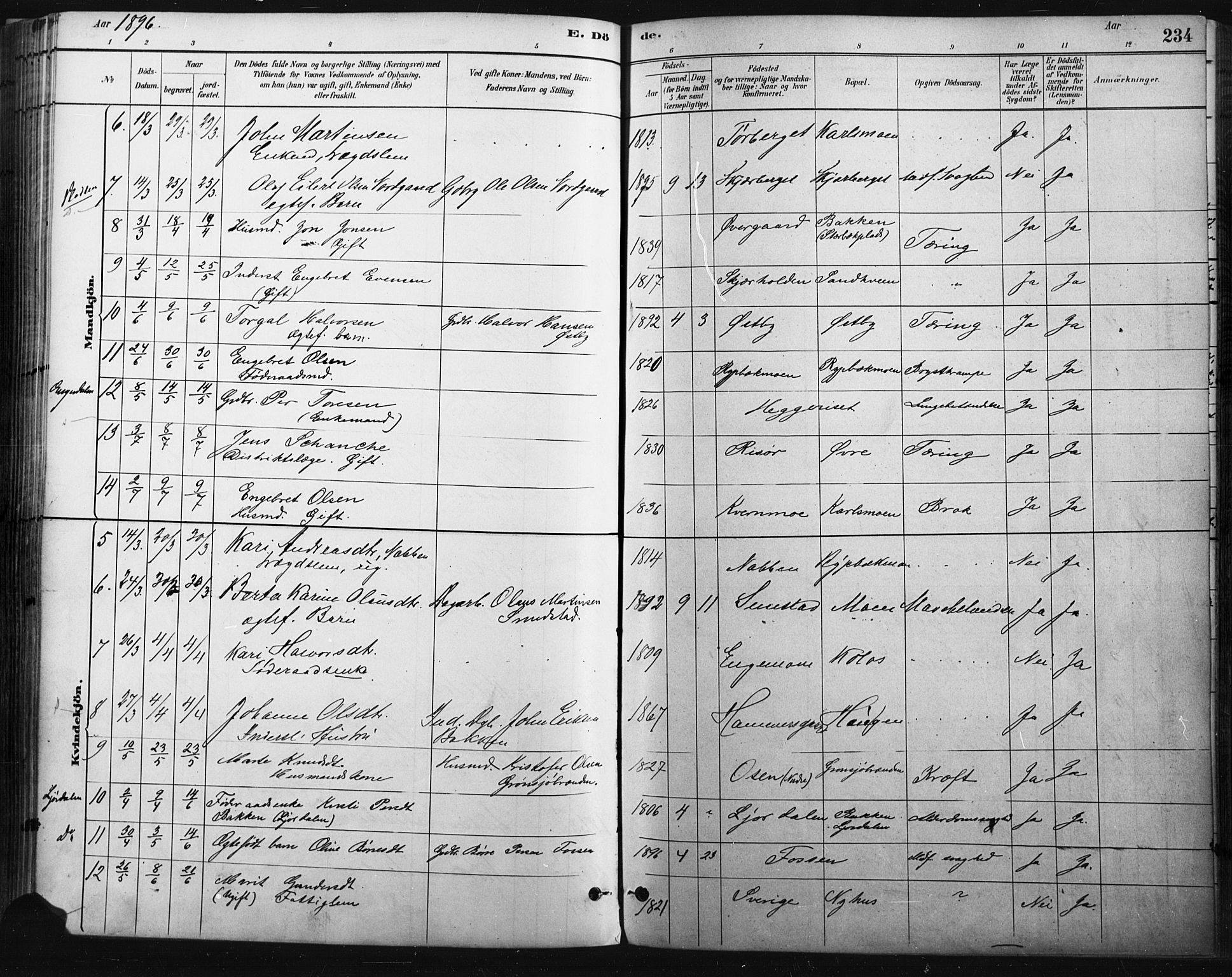 Trysil prestekontor, SAH/PREST-046/H/Ha/Haa/L0009: Ministerialbok nr. 9, 1881-1897, s. 234