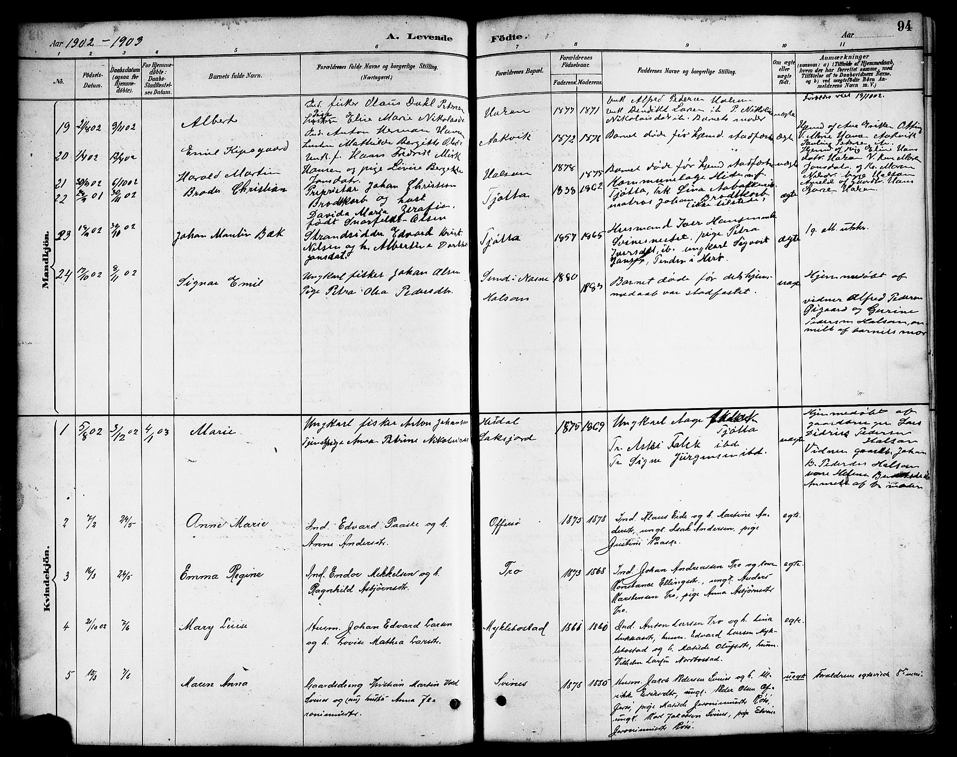 Ministerialprotokoller, klokkerbøker og fødselsregistre - Nordland, SAT/A-1459/817/L0268: Klokkerbok nr. 817C03, 1884-1920, s. 94