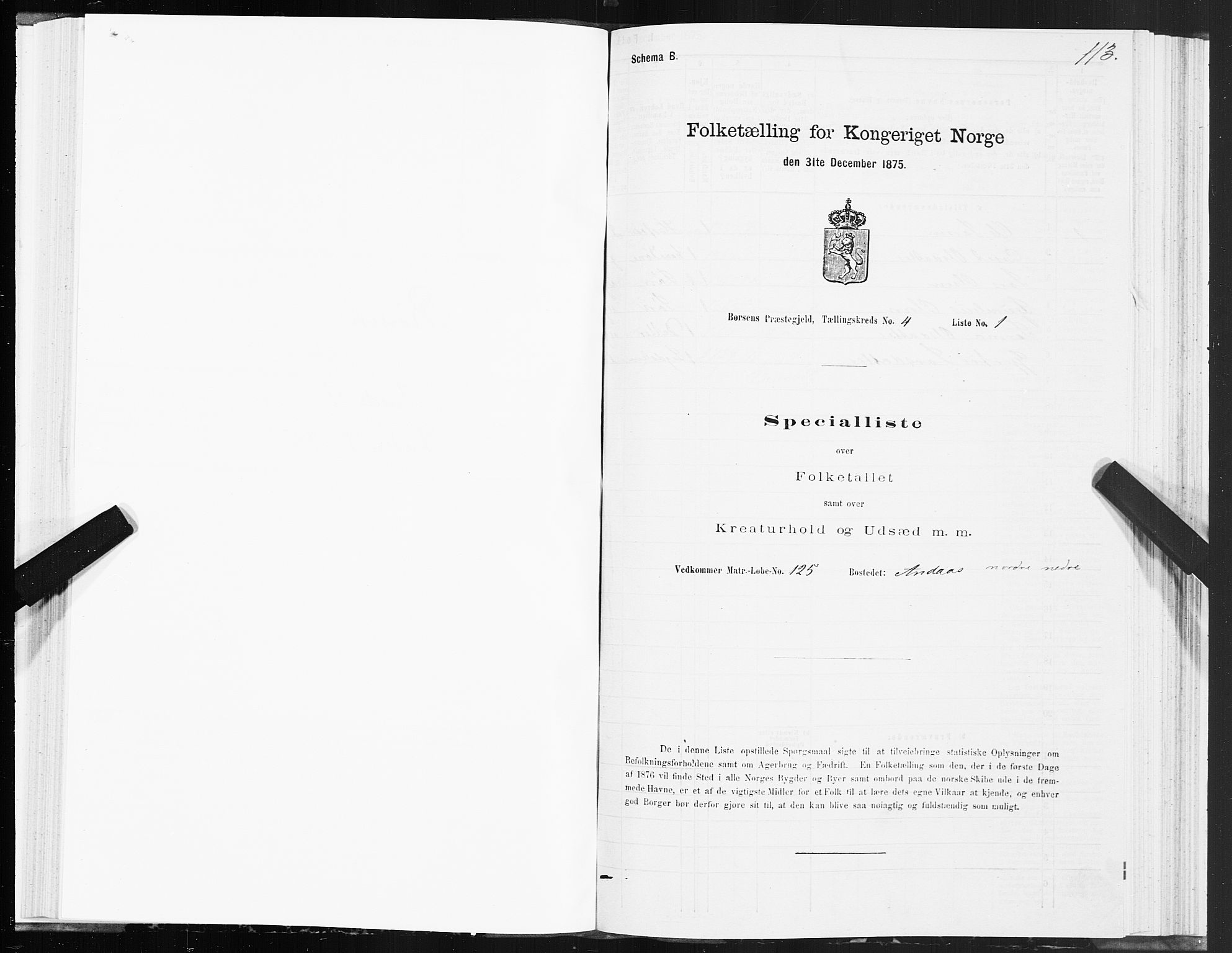 SAT, Folketelling 1875 for 1658P Børsa prestegjeld, 1875, s. 3113
