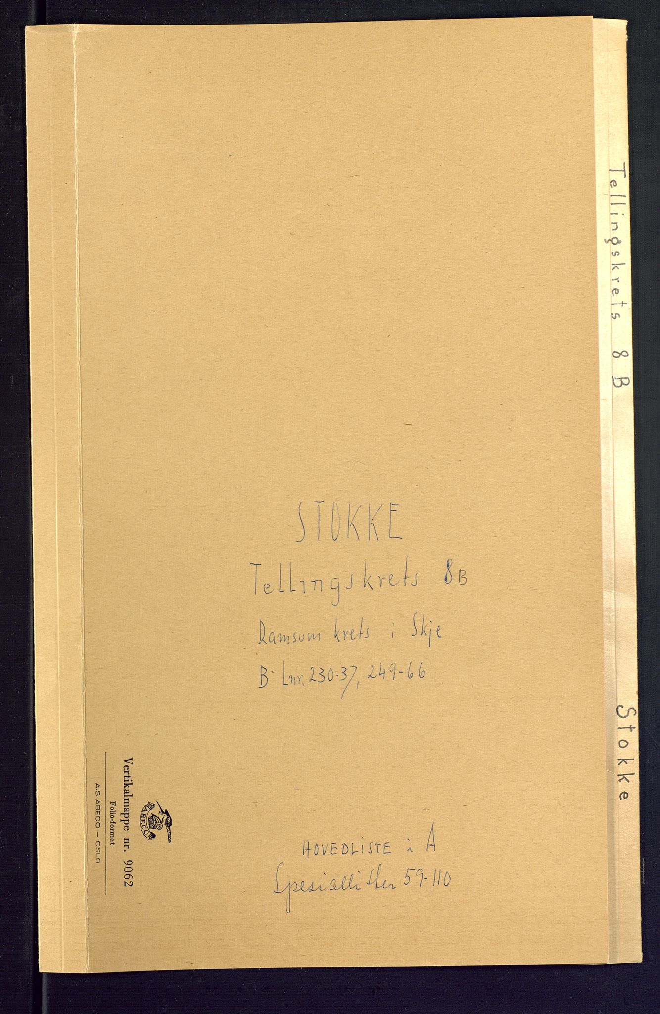 SAKO, Folketelling 1875 for 0720P Stokke prestegjeld, 1875, s. 45