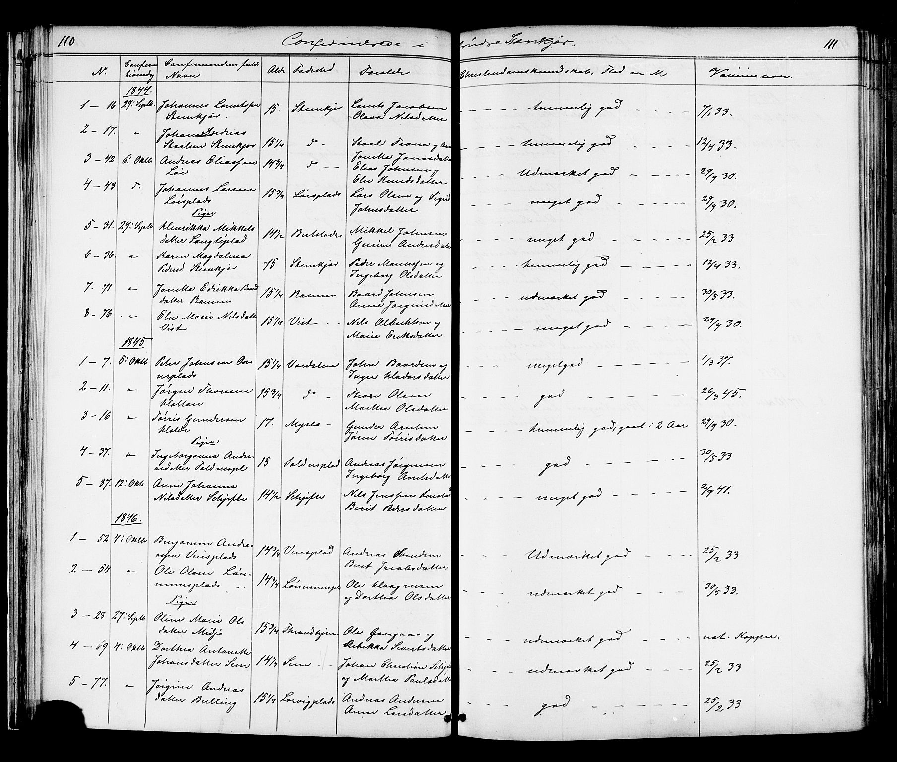 Ministerialprotokoller, klokkerbøker og fødselsregistre - Nord-Trøndelag, AV/SAT-A-1458/739/L0367: Ministerialbok nr. 739A01 /1, 1838-1868, s. 110-111