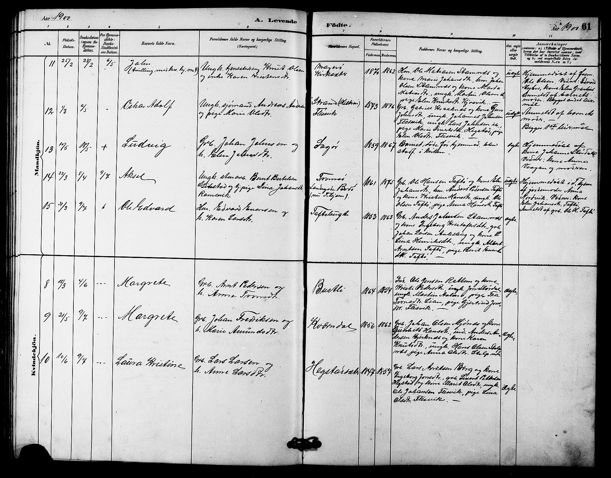 Ministerialprotokoller, klokkerbøker og fødselsregistre - Sør-Trøndelag, SAT/A-1456/633/L0519: Klokkerbok nr. 633C01, 1884-1905, s. 61