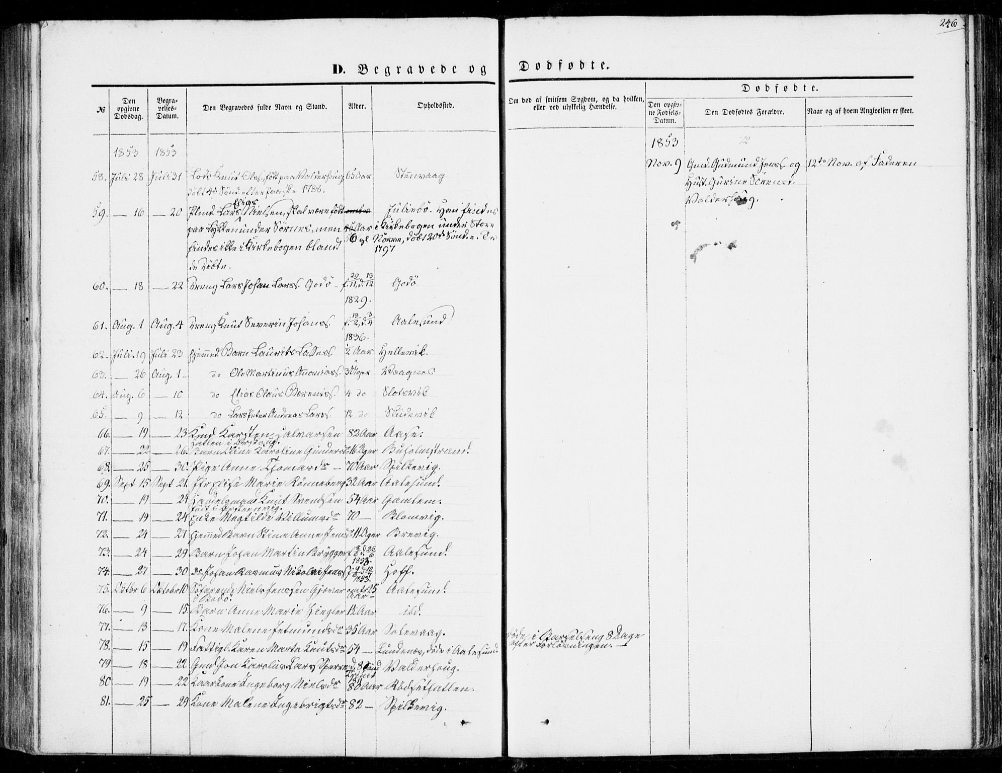 Ministerialprotokoller, klokkerbøker og fødselsregistre - Møre og Romsdal, AV/SAT-A-1454/528/L0397: Ministerialbok nr. 528A08, 1848-1858, s. 246