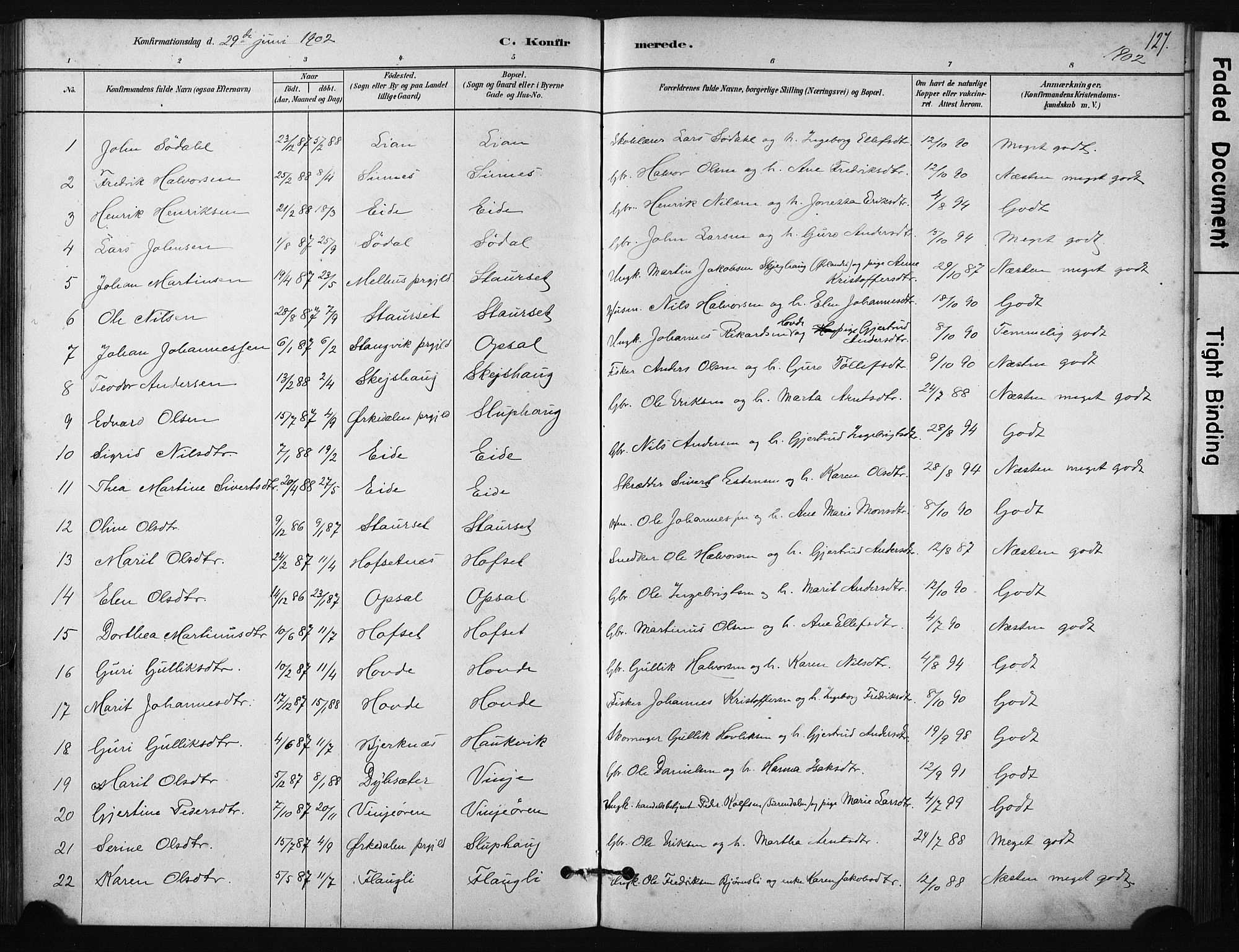 Ministerialprotokoller, klokkerbøker og fødselsregistre - Sør-Trøndelag, AV/SAT-A-1456/631/L0512: Ministerialbok nr. 631A01, 1879-1912, s. 127