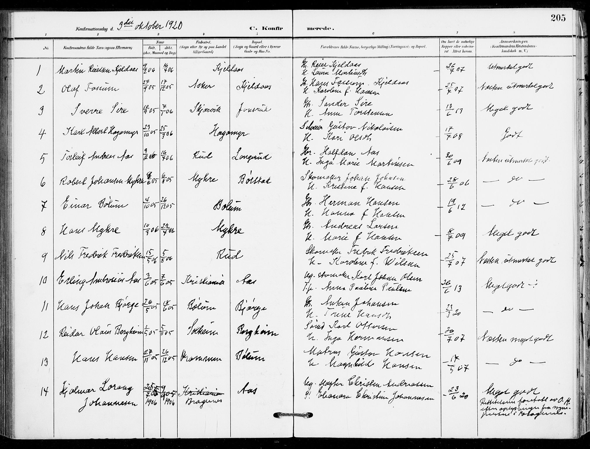 Sande Kirkebøker, AV/SAKO-A-53/F/Fa/L0008: Ministerialbok nr. 8, 1904-1921, s. 205