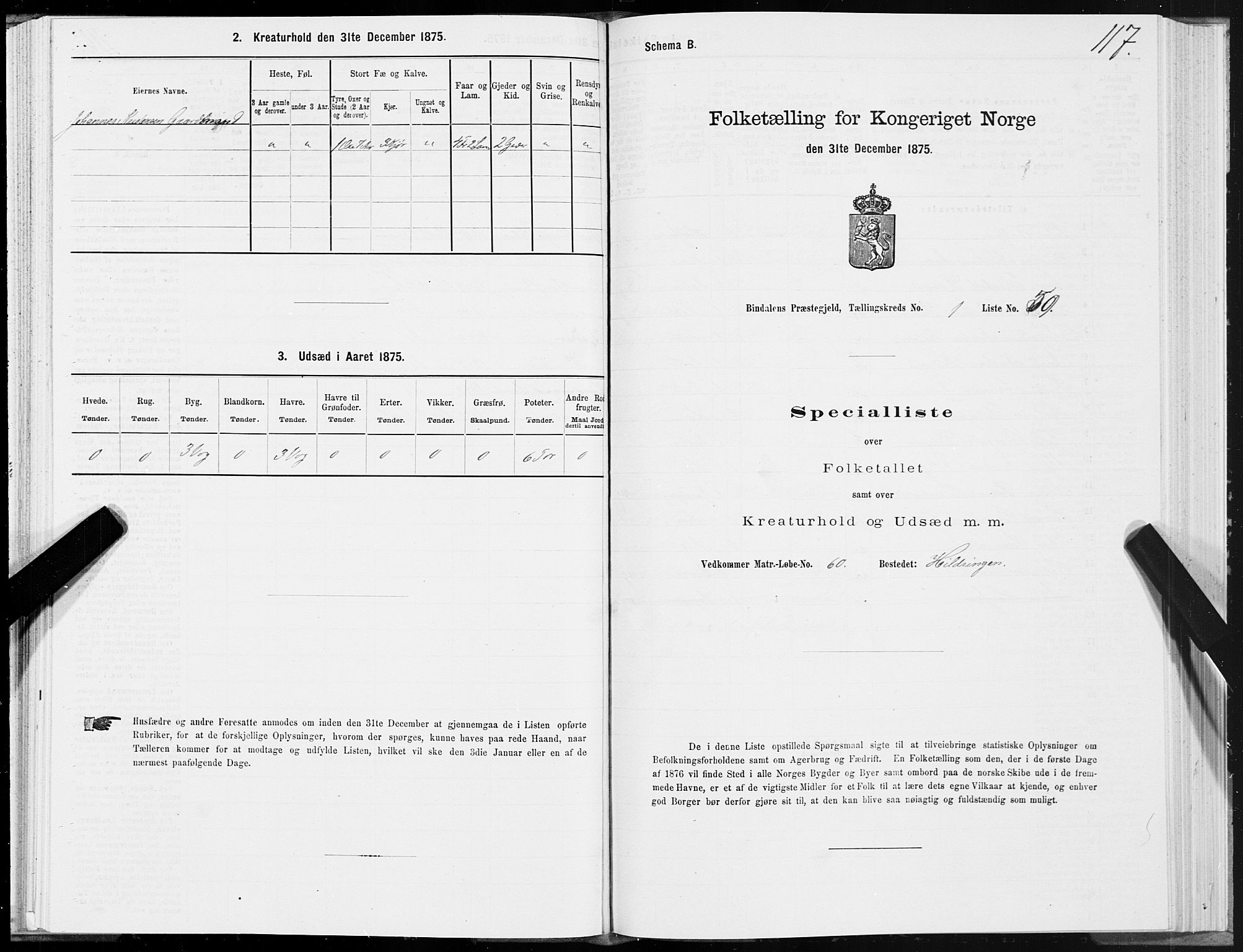 SAT, Folketelling 1875 for 1811P Bindal prestegjeld, 1875, s. 1117