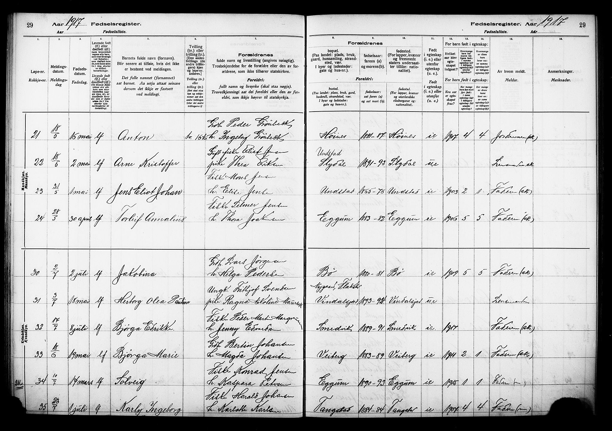 Ministerialprotokoller, klokkerbøker og fødselsregistre - Nordland, AV/SAT-A-1459/880/L1145: Fødselsregister nr. 880.II.4.1, 1916-1929, s. 29
