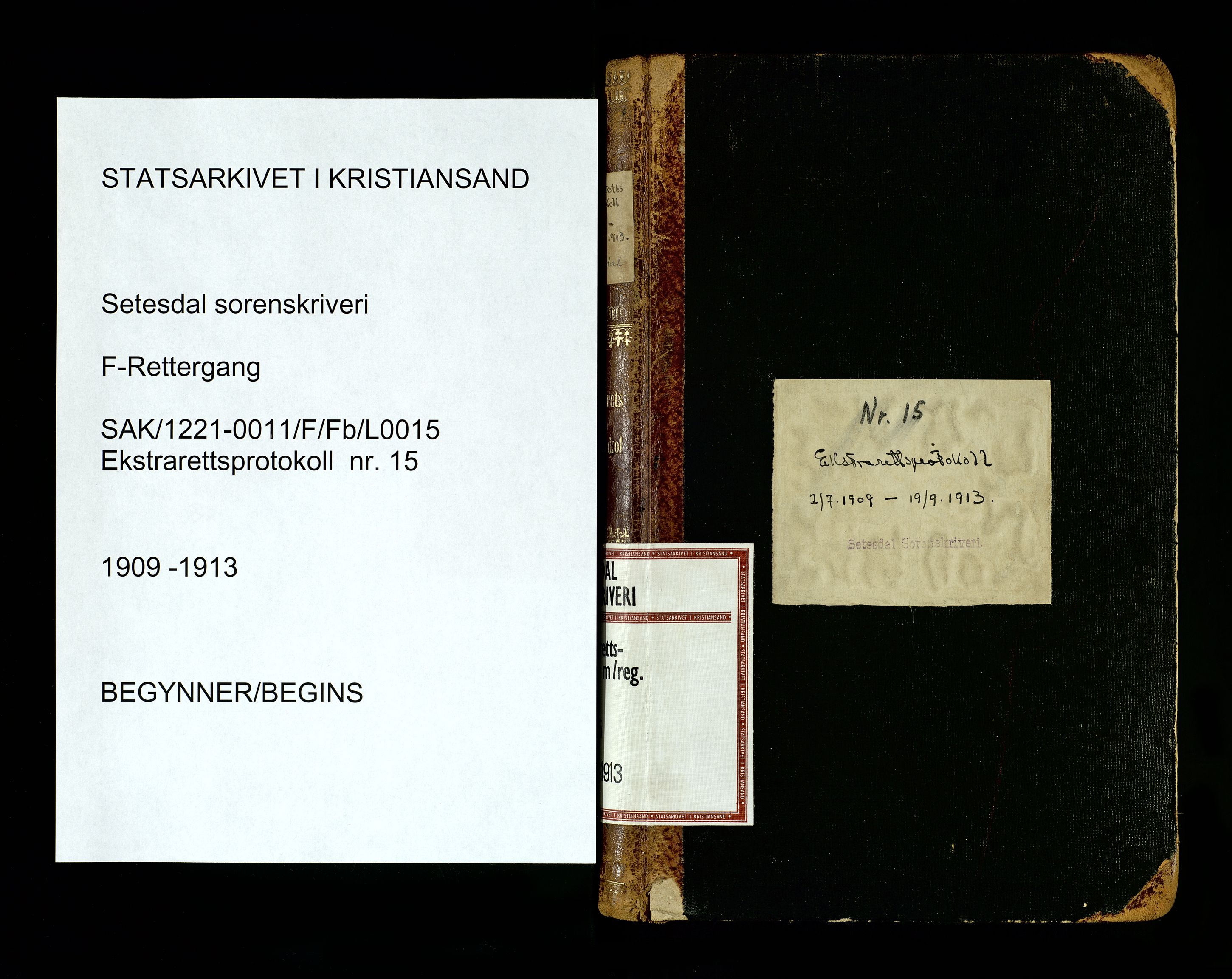 Setesdal sorenskriveri, SAK/1221-0011/F/Fb/L0015: Ekstrarettsprotokoll nr 15, 1909-1913