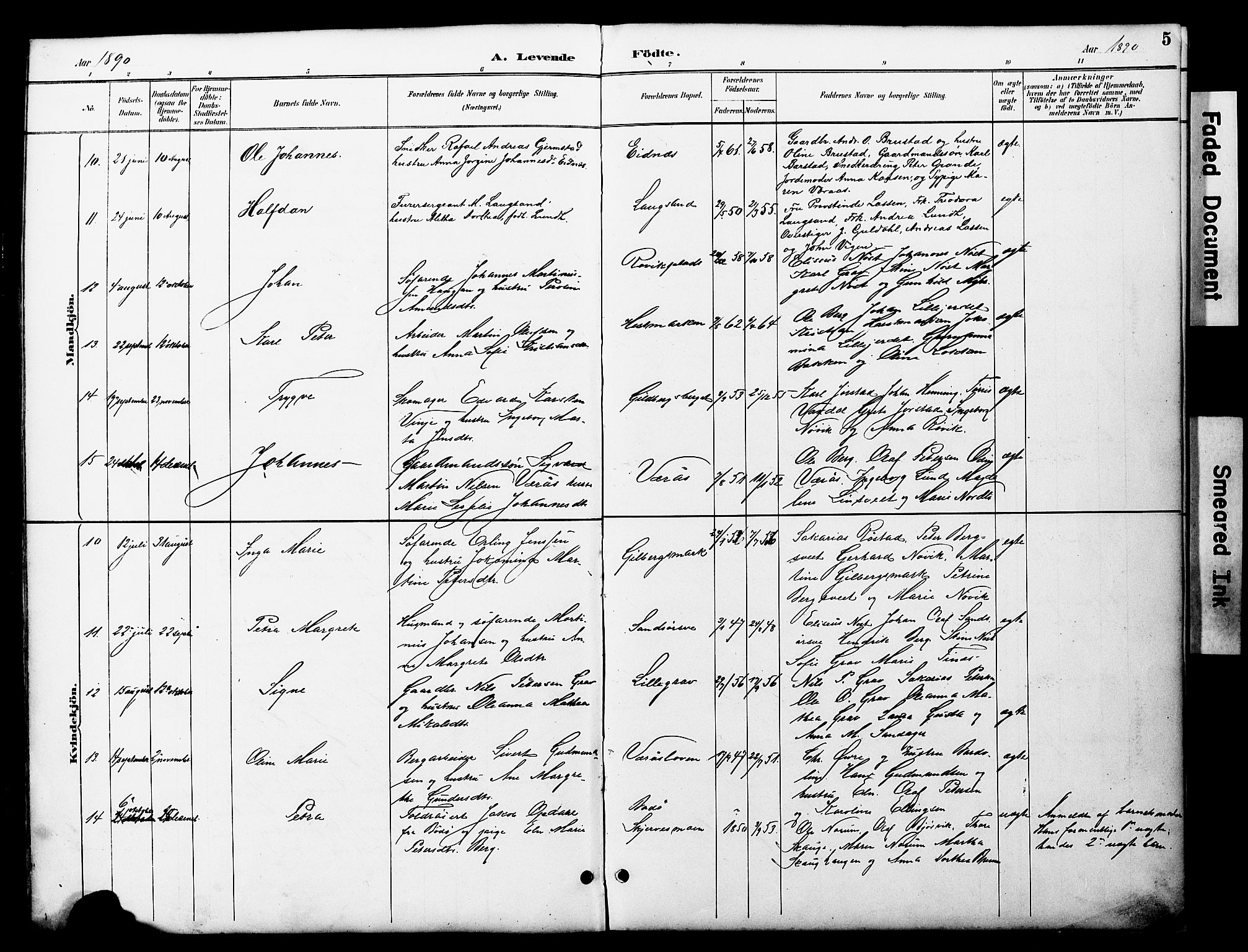 Ministerialprotokoller, klokkerbøker og fødselsregistre - Nord-Trøndelag, AV/SAT-A-1458/722/L0226: Klokkerbok nr. 722C02, 1889-1927, s. 5