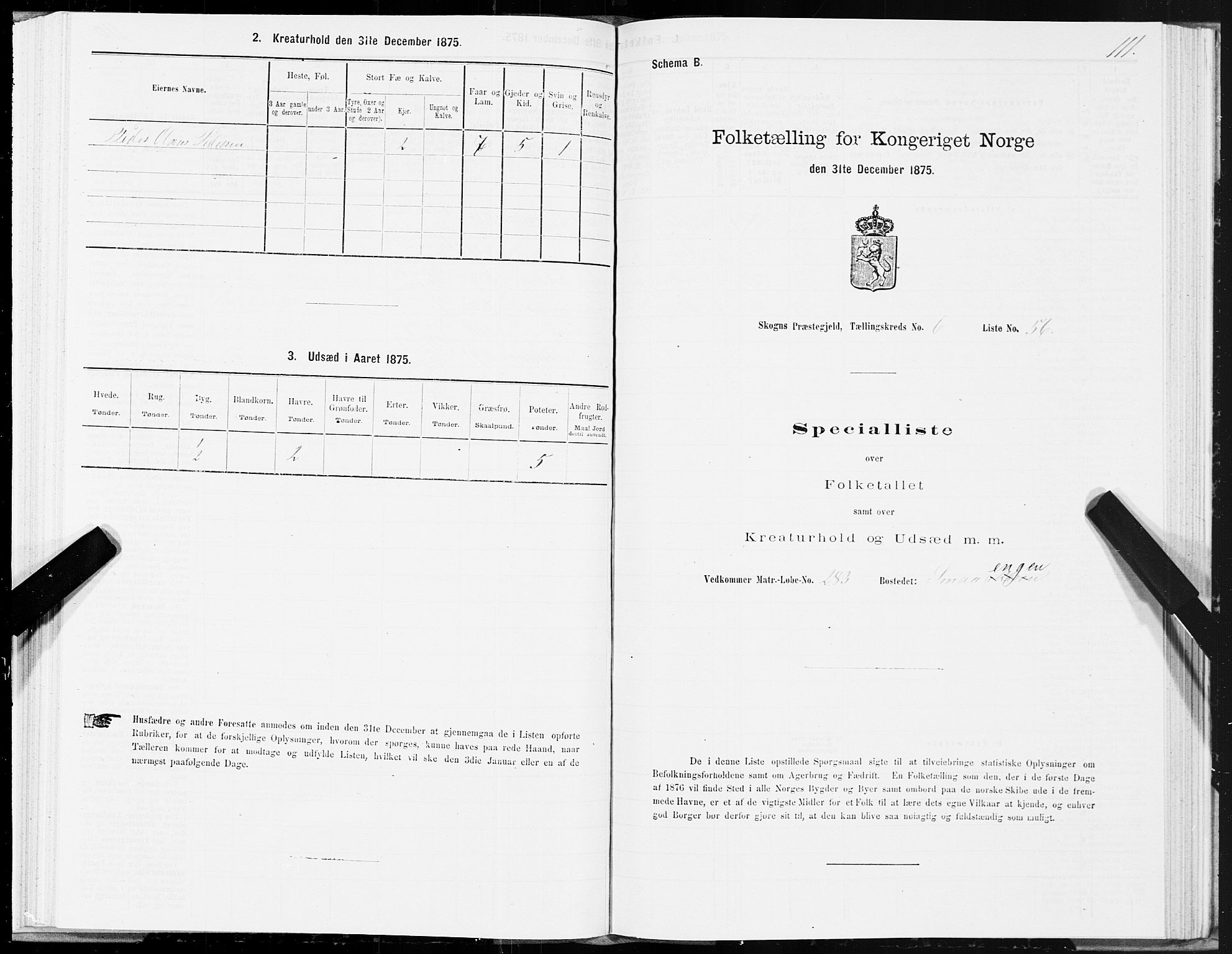 SAT, Folketelling 1875 for 1719P Skogn prestegjeld, 1875, s. 6111