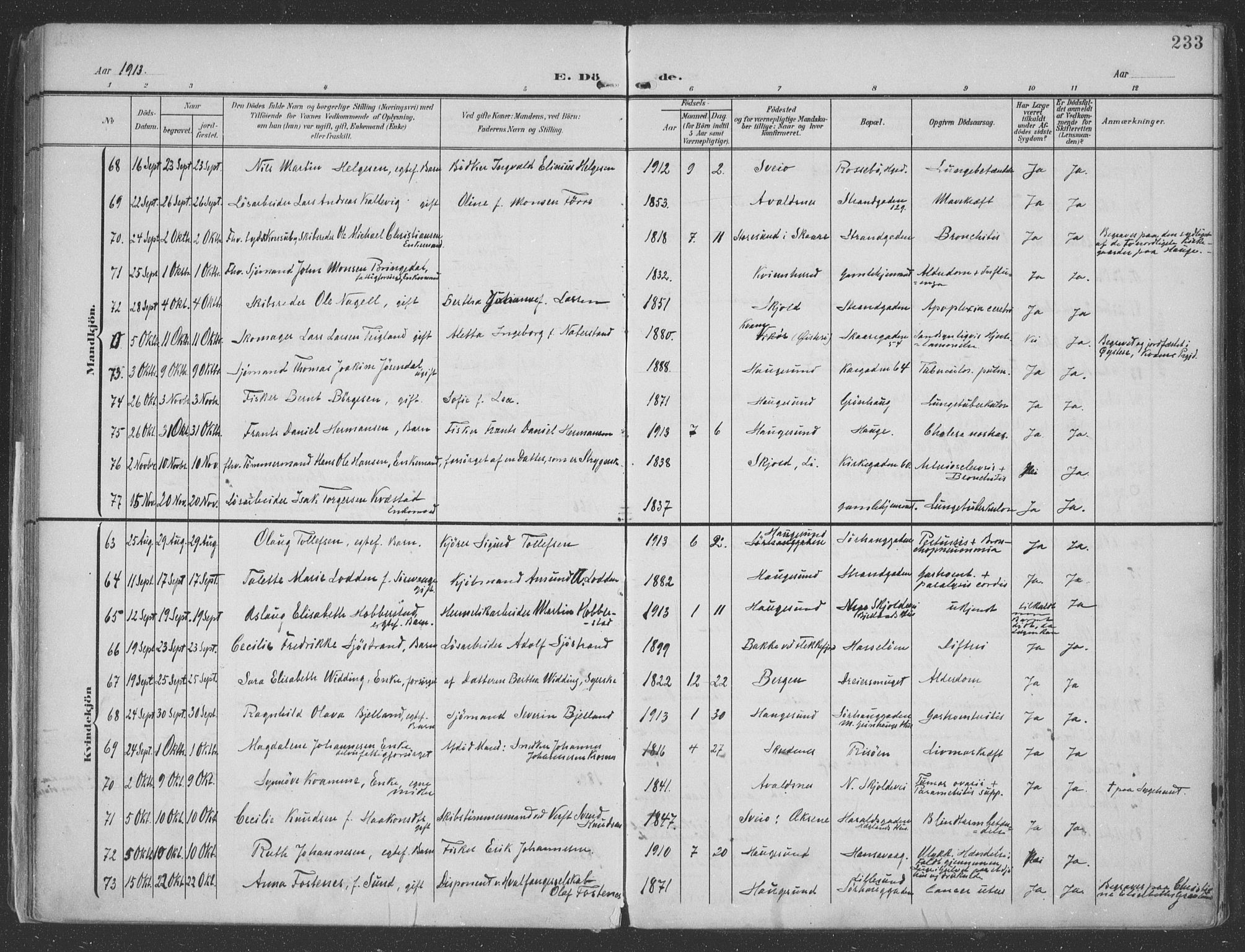 Haugesund sokneprestkontor, AV/SAST-A -101863/H/Ha/Haa/L0007: Ministerialbok nr. A 7, 1904-1916, s. 233