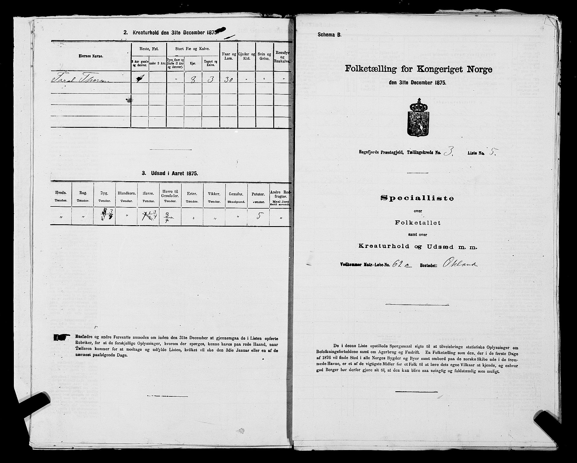 SAST, Folketelling 1875 for 1128P Høgsfjord prestegjeld, 1875, s. 248