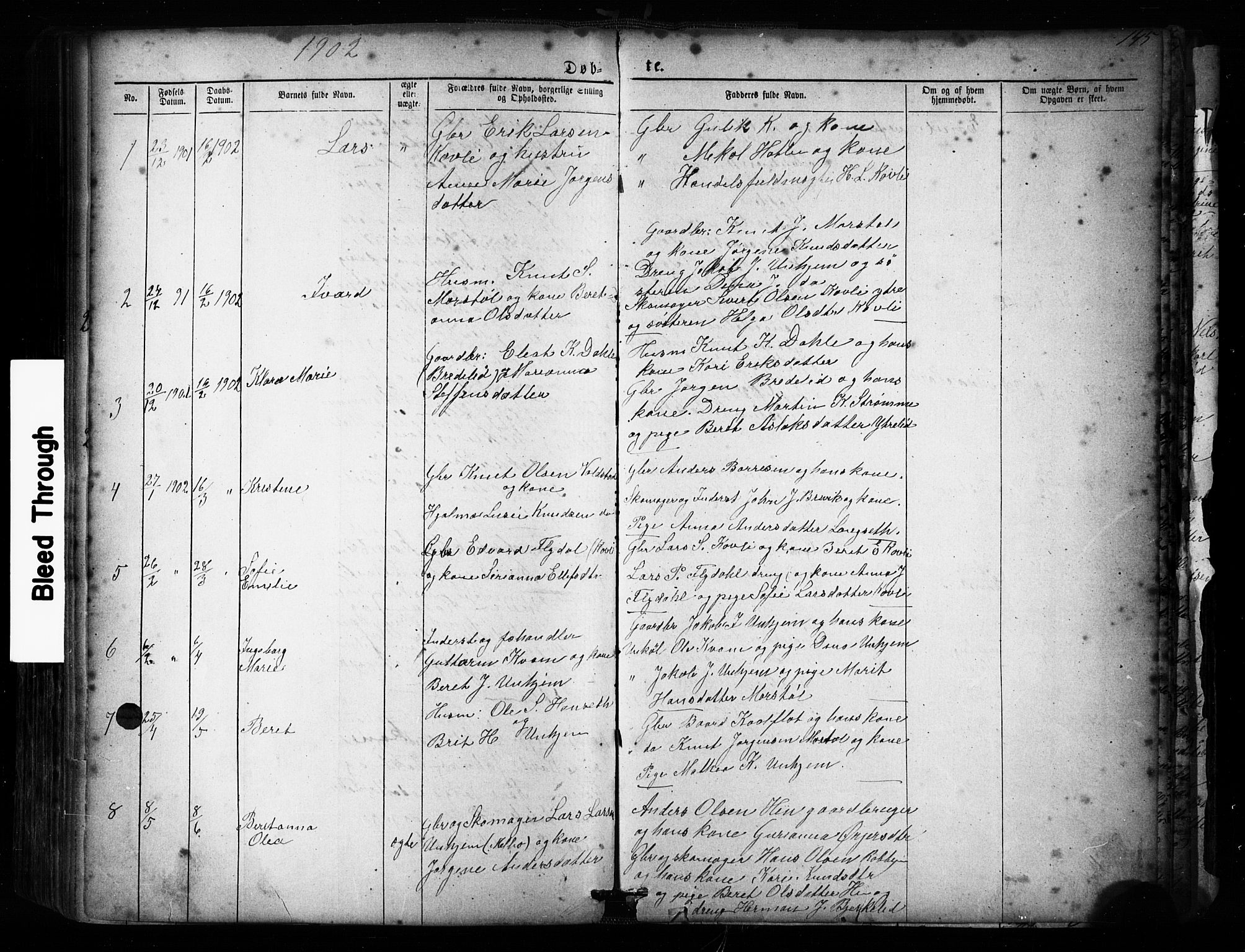 Ministerialprotokoller, klokkerbøker og fødselsregistre - Møre og Romsdal, AV/SAT-A-1454/545/L0588: Klokkerbok nr. 545C02, 1867-1902, s. 145