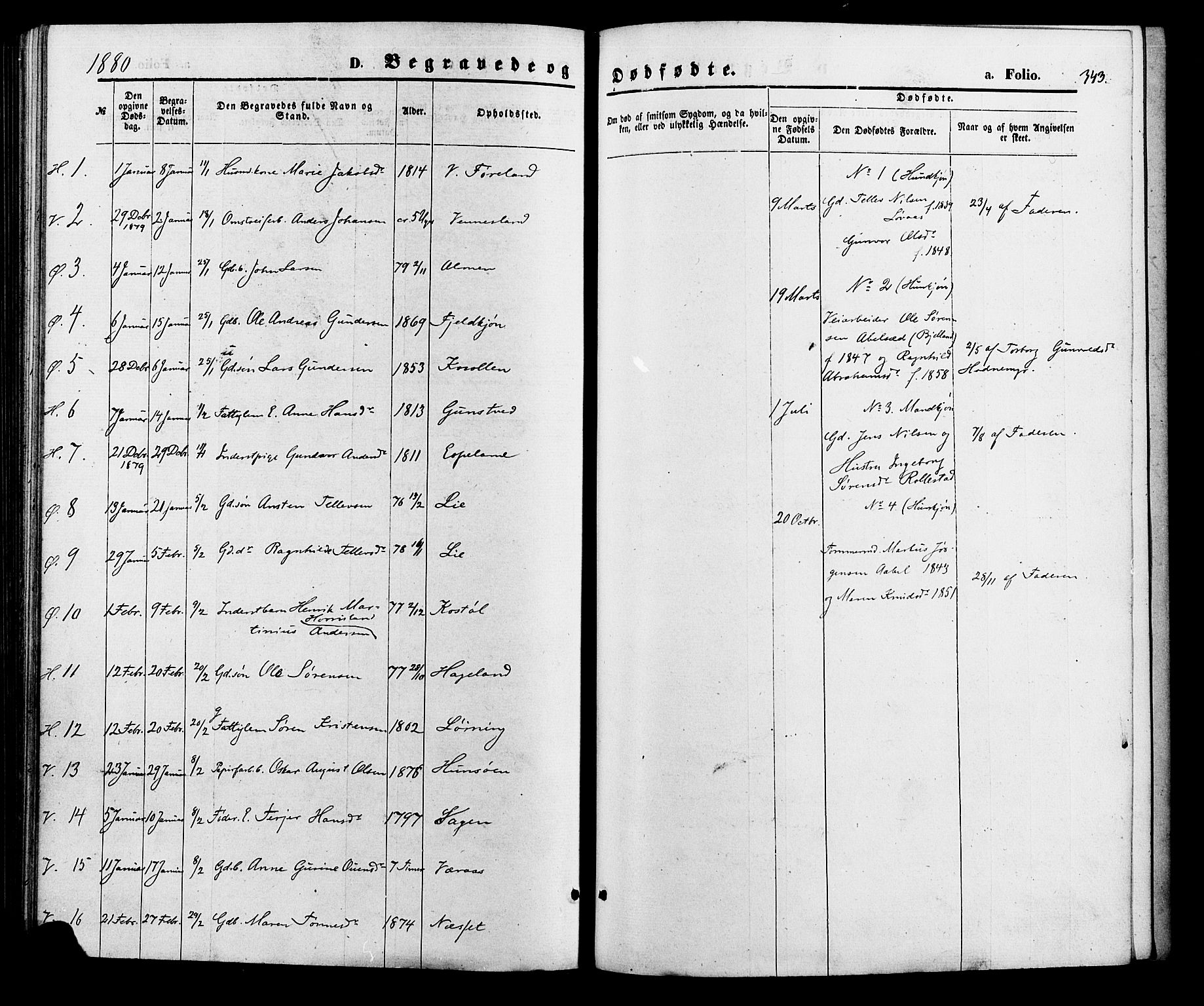 Vennesla sokneprestkontor, AV/SAK-1111-0045/Fa/Fac/L0008: Ministerialbok nr. A 8, 1874-1883, s. 343