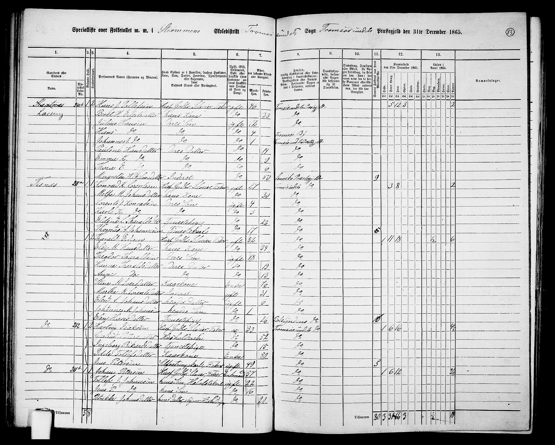 RA, Folketelling 1865 for 1934P Tromsøysund prestegjeld, 1865, s. 72