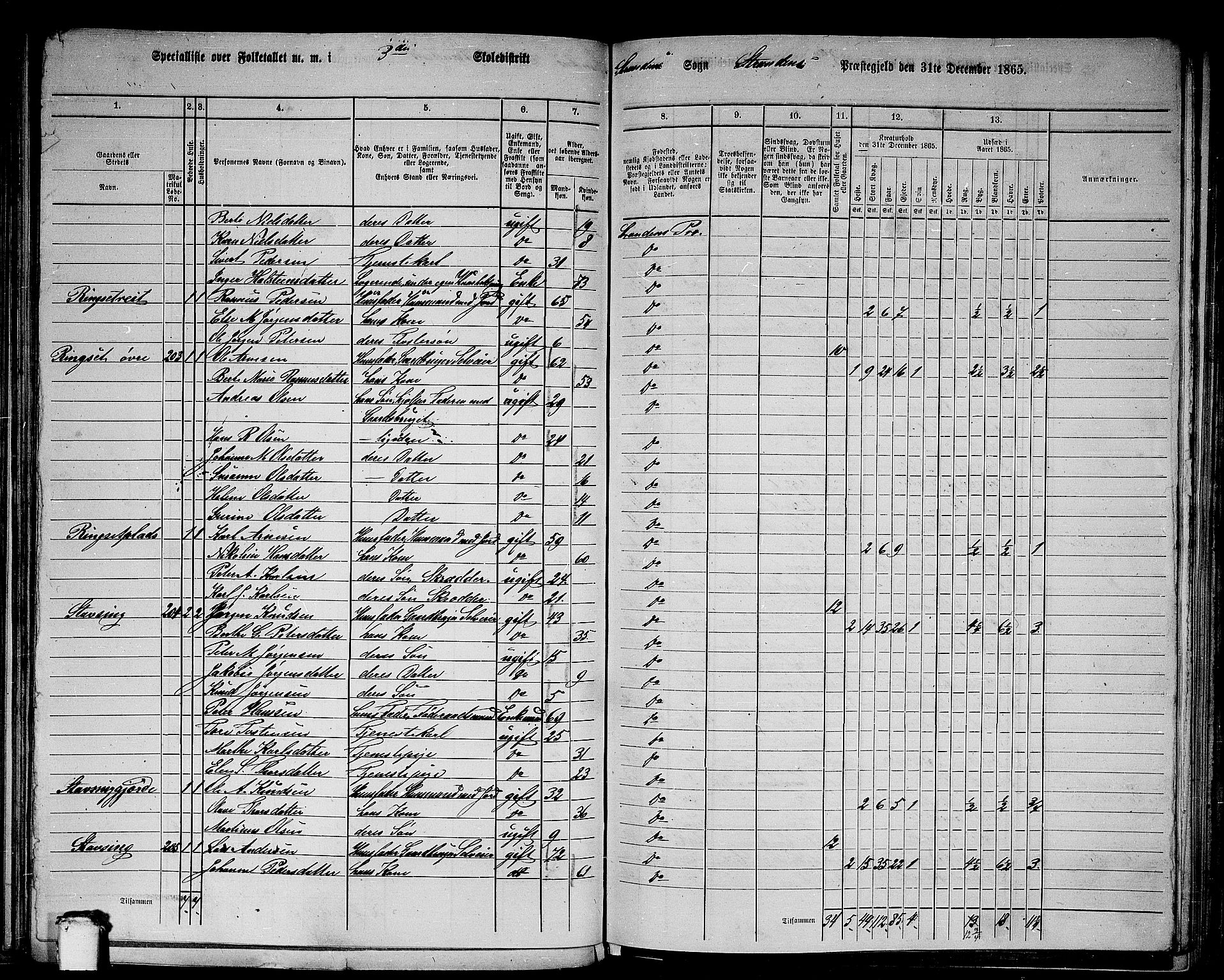 RA, Folketelling 1865 for 1525P Stranda prestegjeld, 1865, s. 8