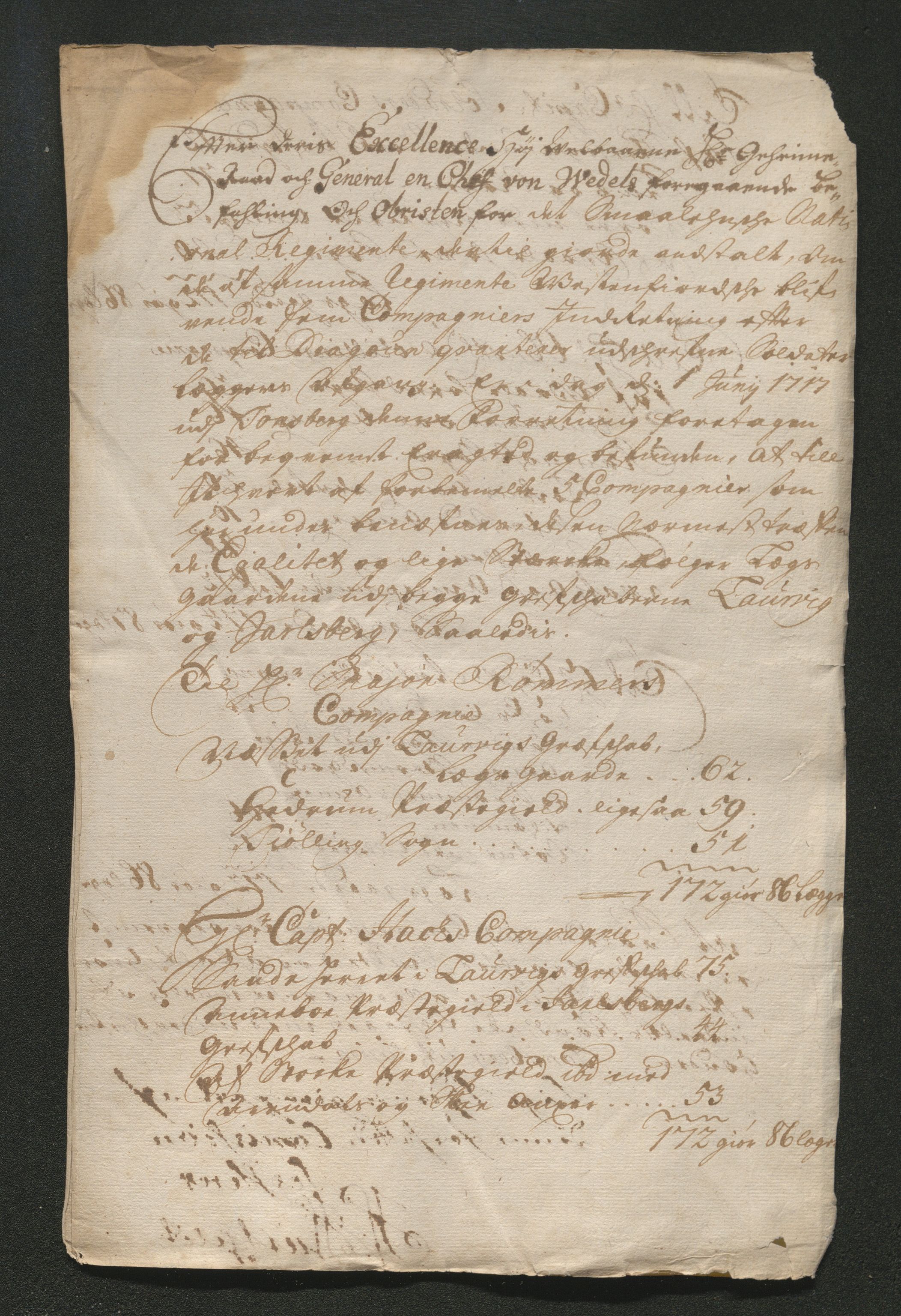 Larvik grevskap, AV/SAKO-A-1056/F/Ff/Ffa/L0001: Ruller og manntall, 1708-1734, s. 224
