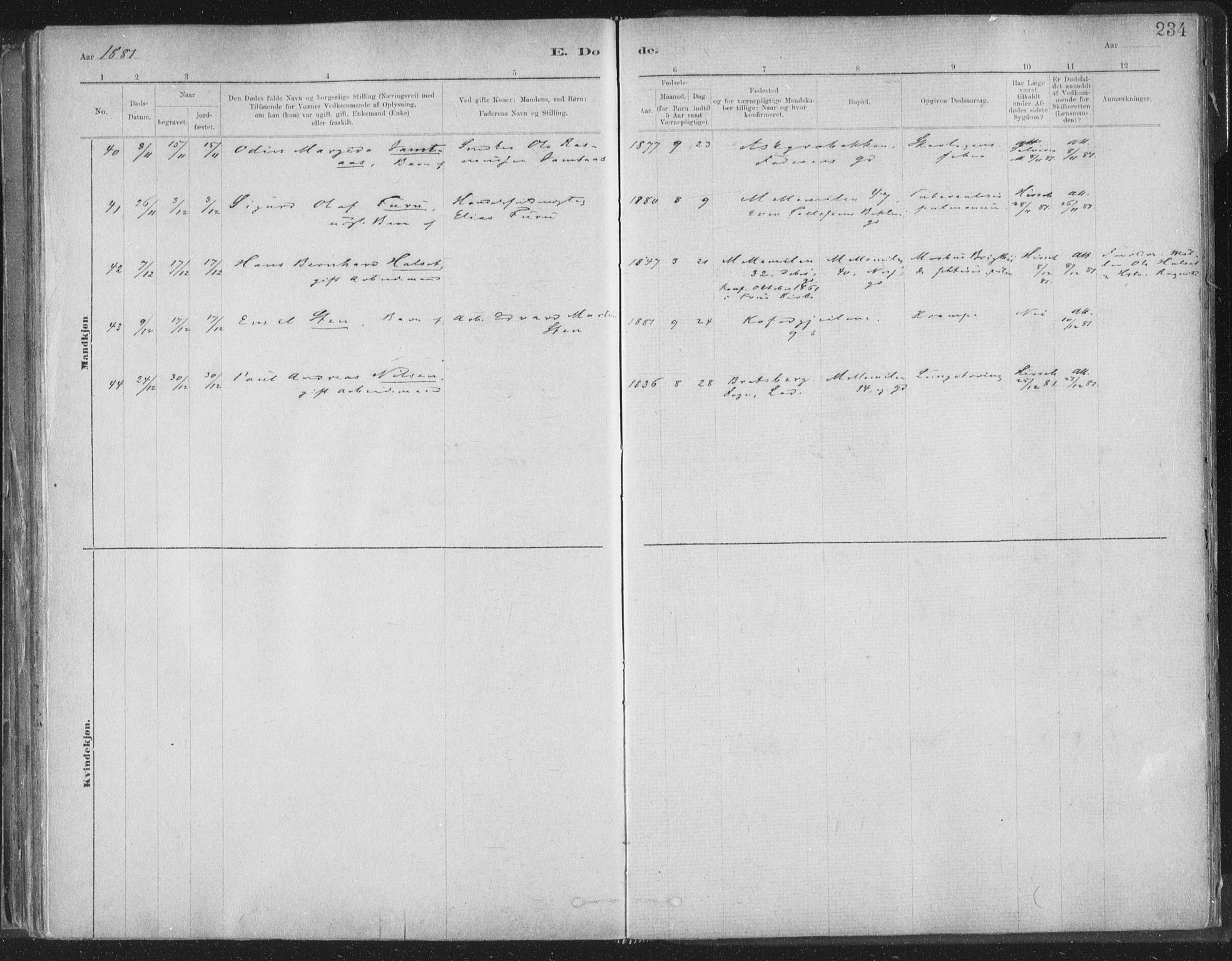 Ministerialprotokoller, klokkerbøker og fødselsregistre - Sør-Trøndelag, SAT/A-1456/603/L0162: Ministerialbok nr. 603A01, 1879-1895, s. 234