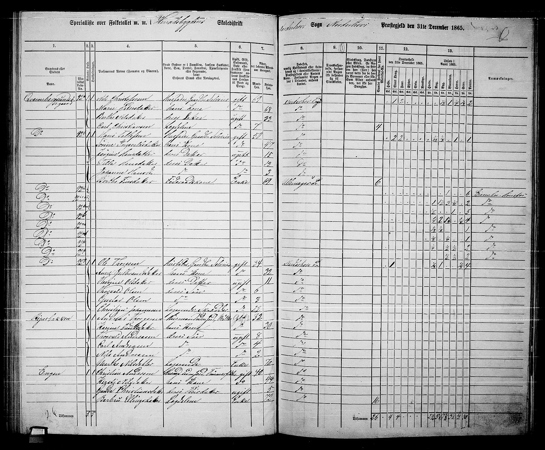 RA, Folketelling 1865 for 0613L Norderhov prestegjeld, Norderhov sokn, Haug sokn og Lunder sokn, 1865, s. 160