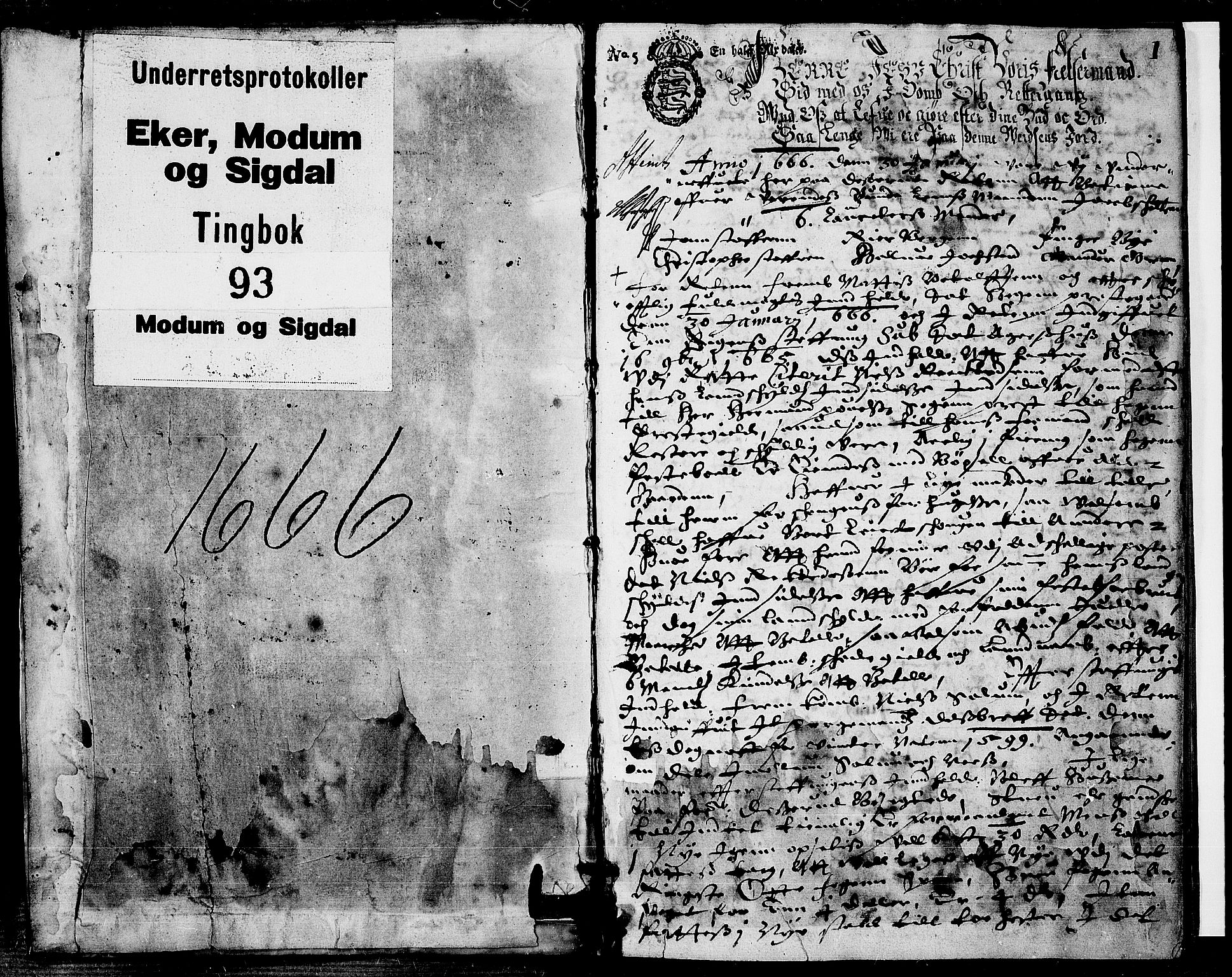 Eiker, Modum og Sigdal sorenskriveri, SAKO/A-123/F/Fa/Faa/L0032: Tingbok, 1666, s. 1