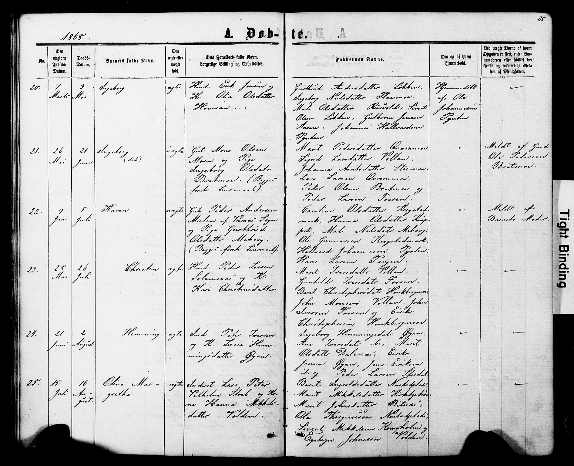 Ministerialprotokoller, klokkerbøker og fødselsregistre - Nord-Trøndelag, AV/SAT-A-1458/706/L0049: Klokkerbok nr. 706C01, 1864-1895, s. 25