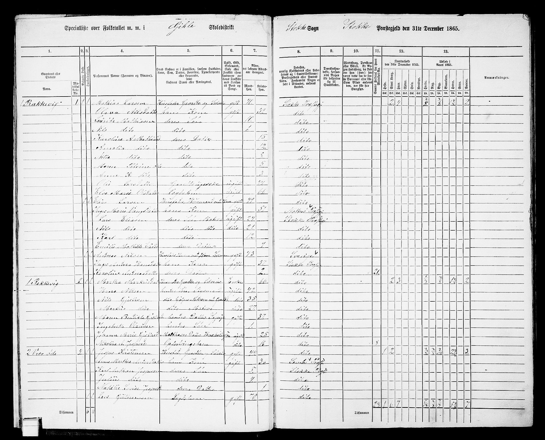 RA, Folketelling 1865 for 0720P Stokke prestegjeld, 1865, s. 15