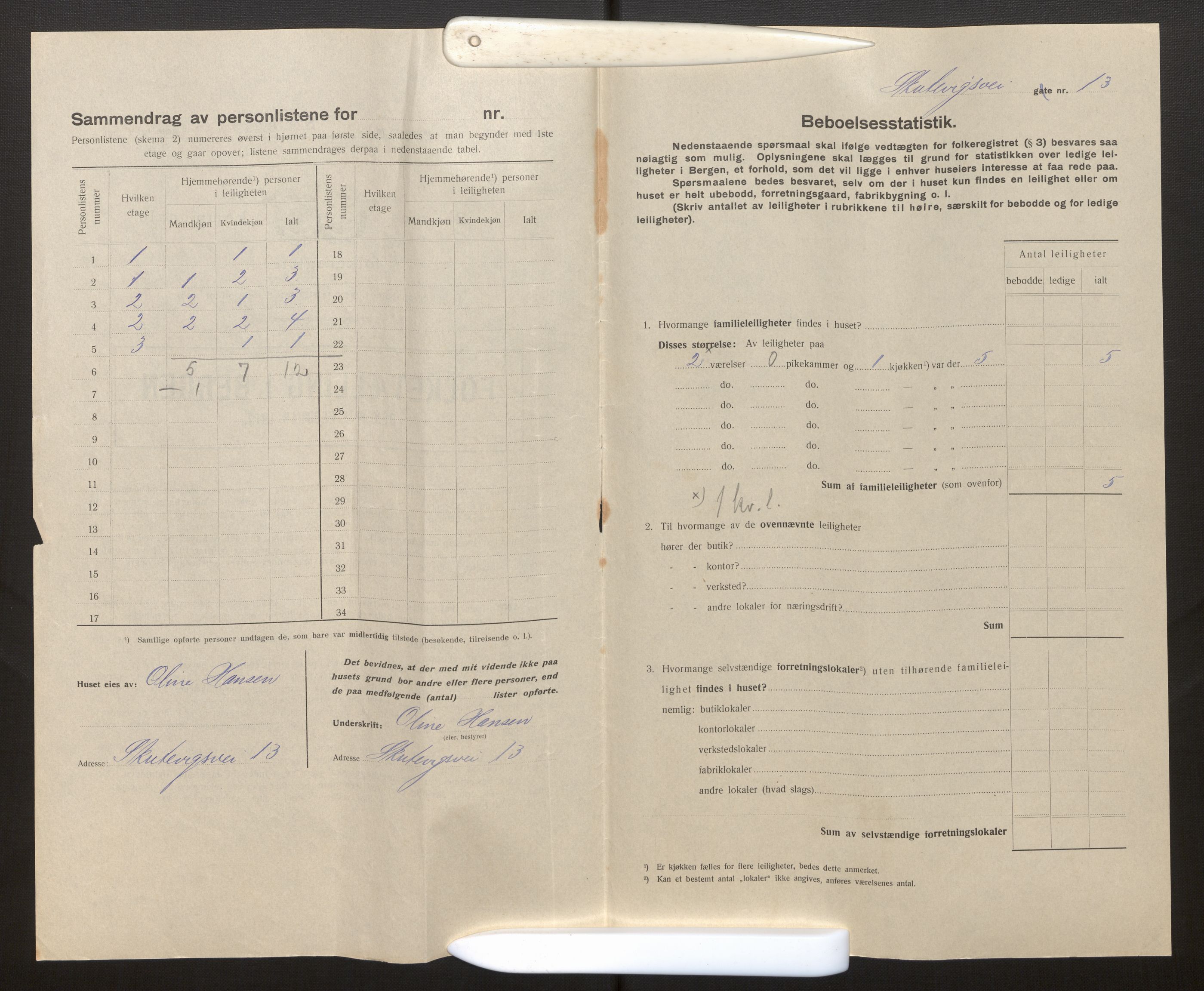 SAB, Kommunal folketelling 1917 for Bergen kjøpstad, 1917, s. 36113